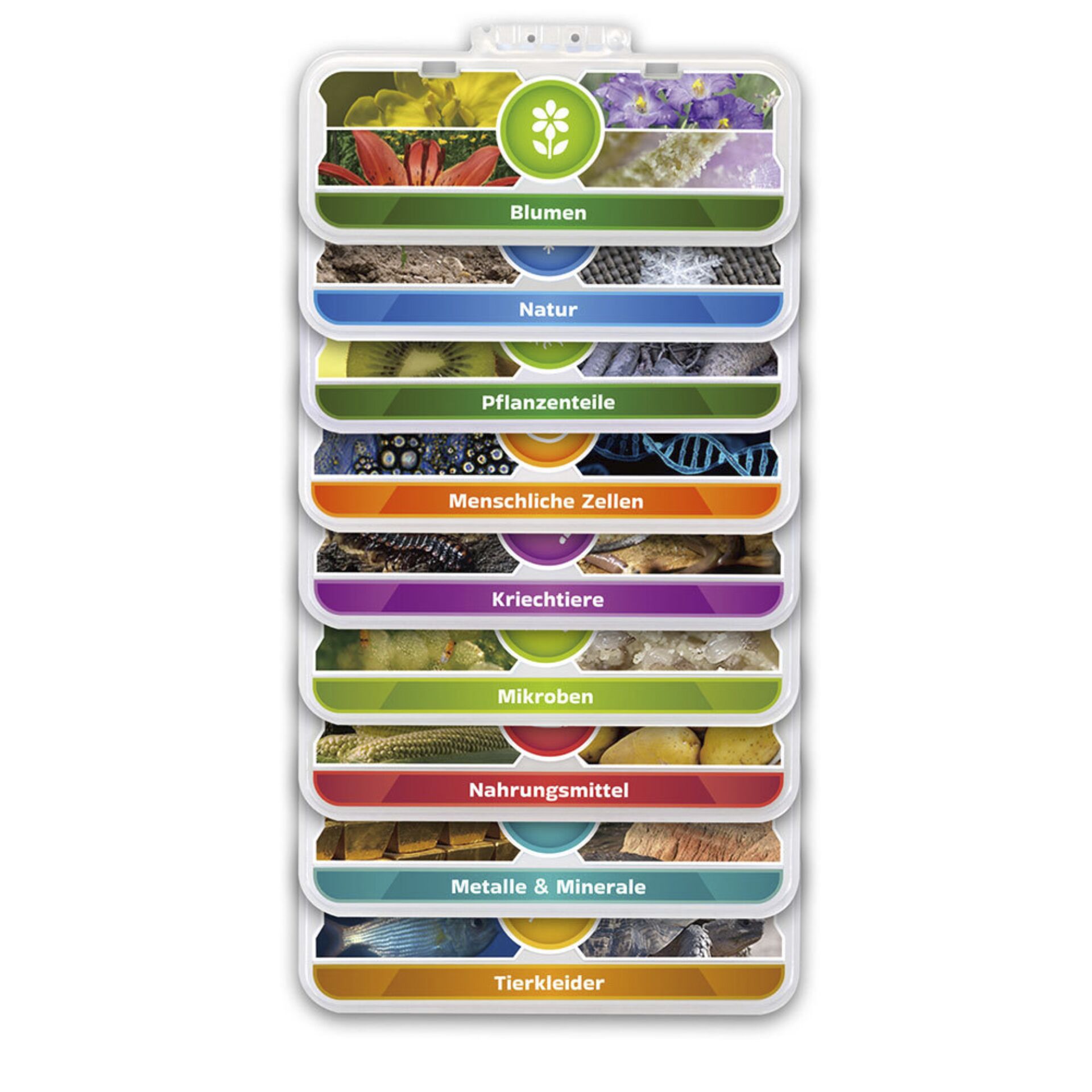 Essen, Mittagessen, Mahlzeit