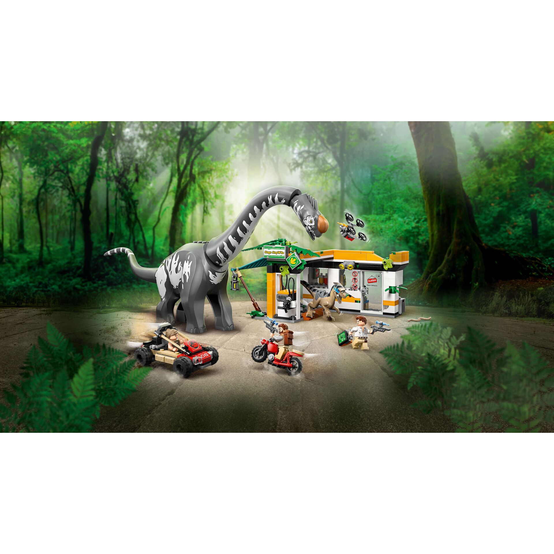 Dschungel, Draußen, Vegetation, Zoologischer Garten, Gras