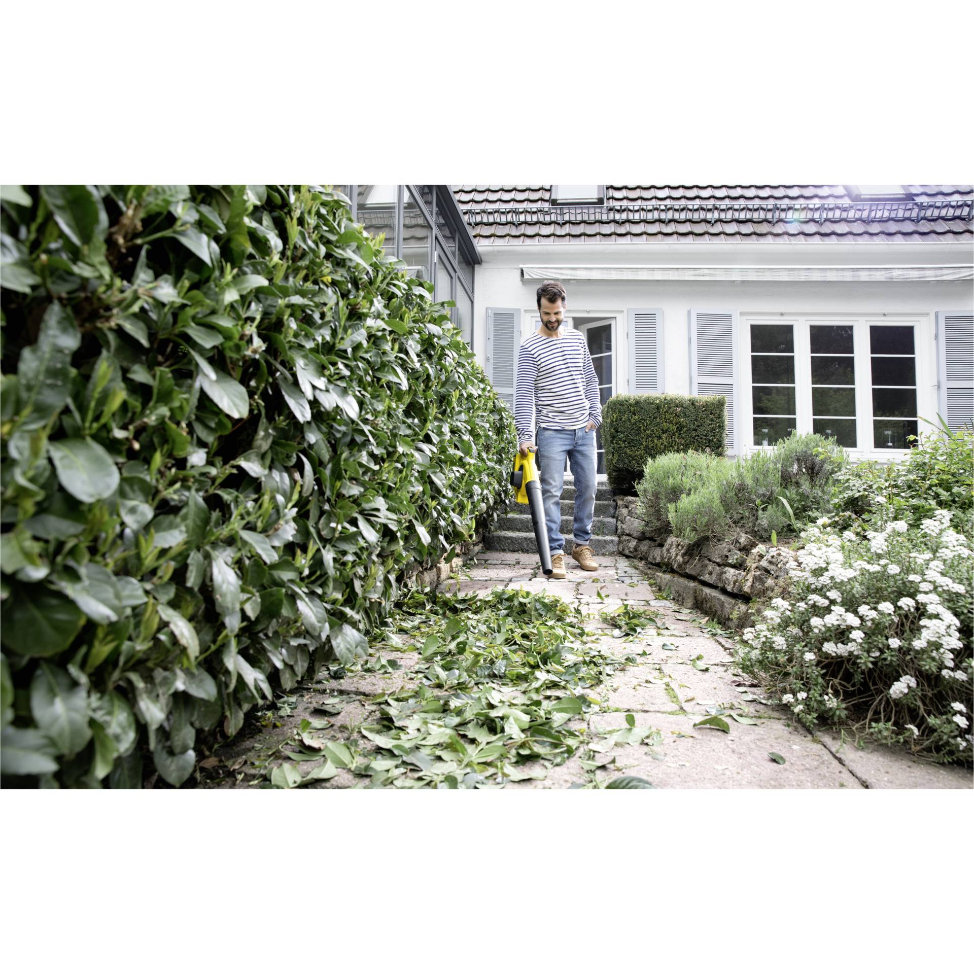 Gras, Garten, Hecke, Rasen, Gartenarbeit