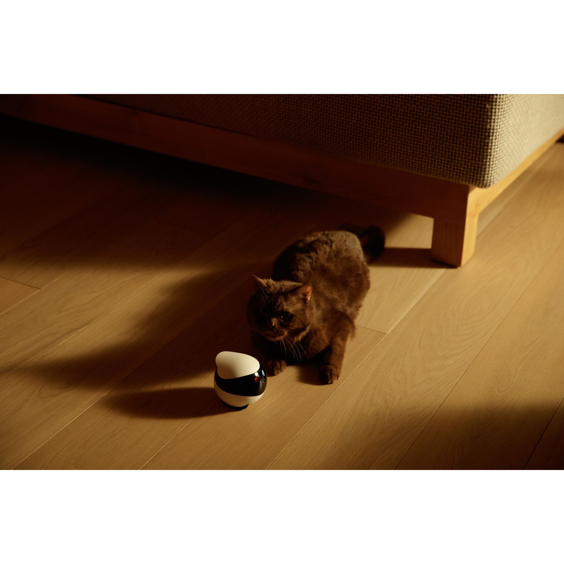 Hartholz, Holz, Fußboden, Bodenbeläge, Innenarchitektur, Hartholz, Holz, Fußboden, Bodenbeläge, Innenarchitektur