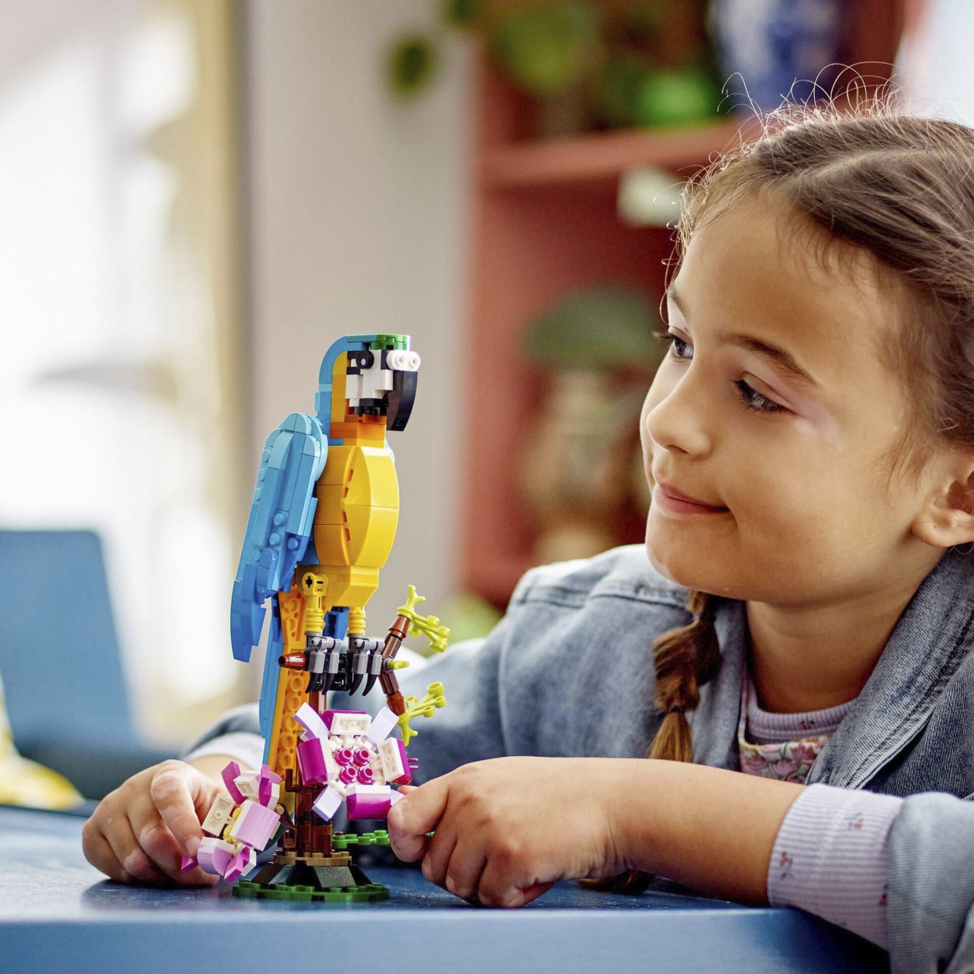 Kind, Weiblich, Mädchen, Person, Spielzeug