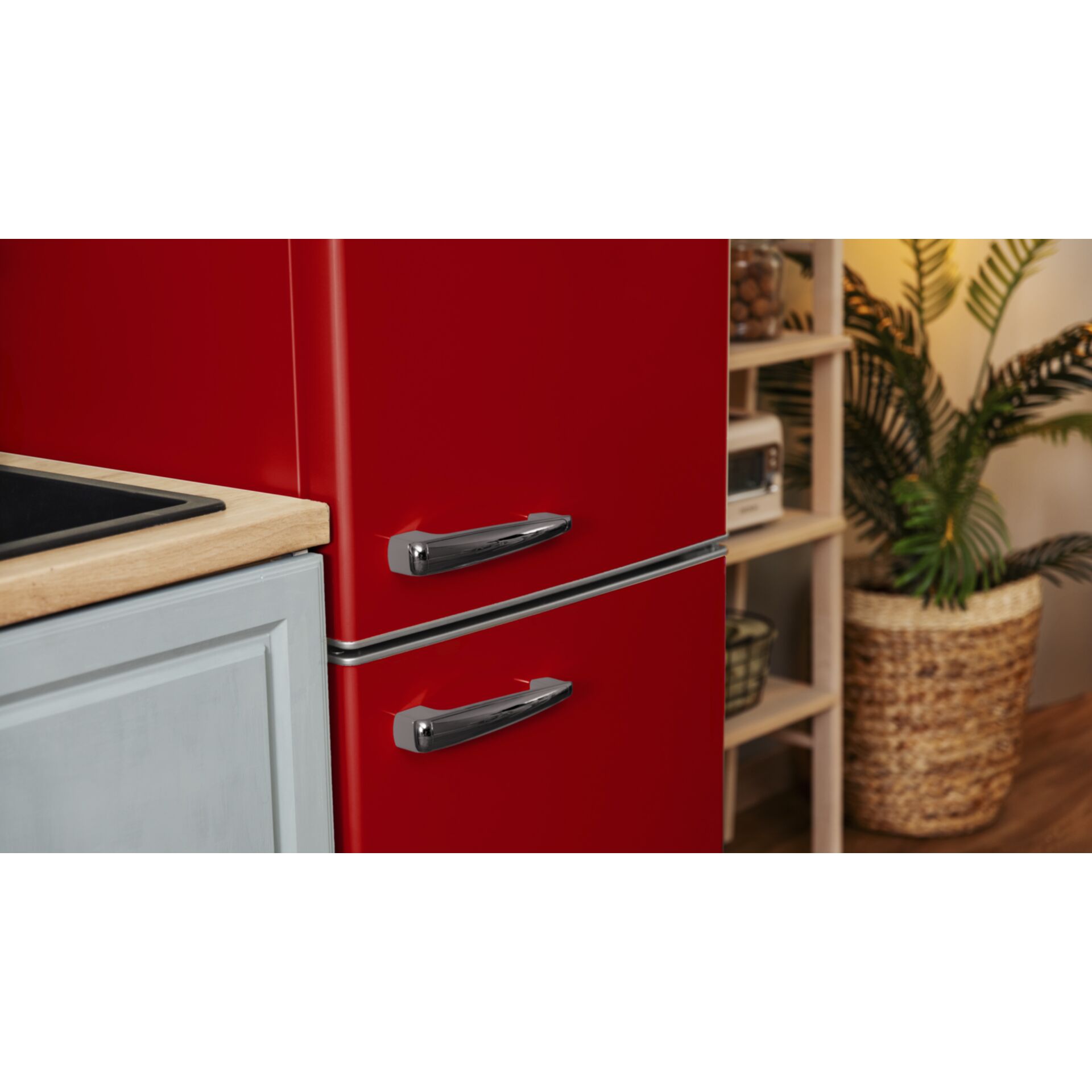 Moebel, Pflanze, Moebel, Pflanze, Moebel, Pflanze, Moebel, Pflanze, Moebel, Pflanze, Moebel, Pflanze