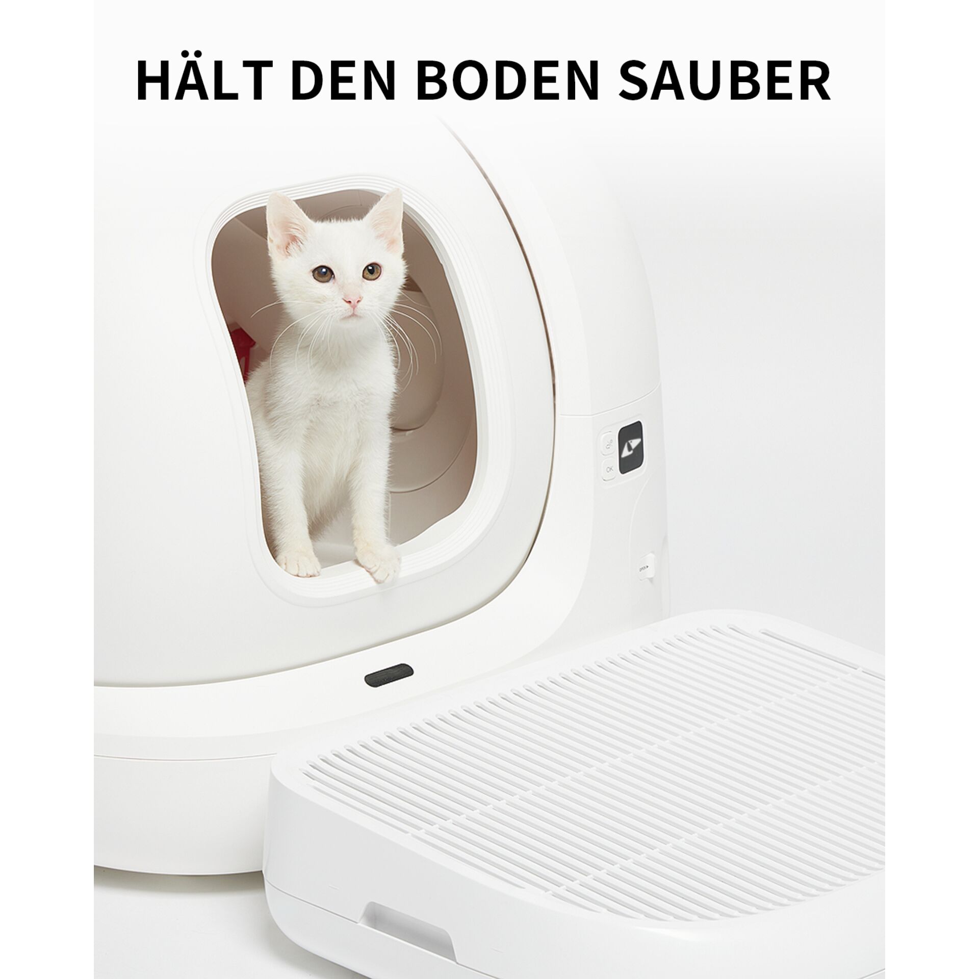 Katze, Säugetier, Haustier, Elektrisches Gerät, Waschmaschine