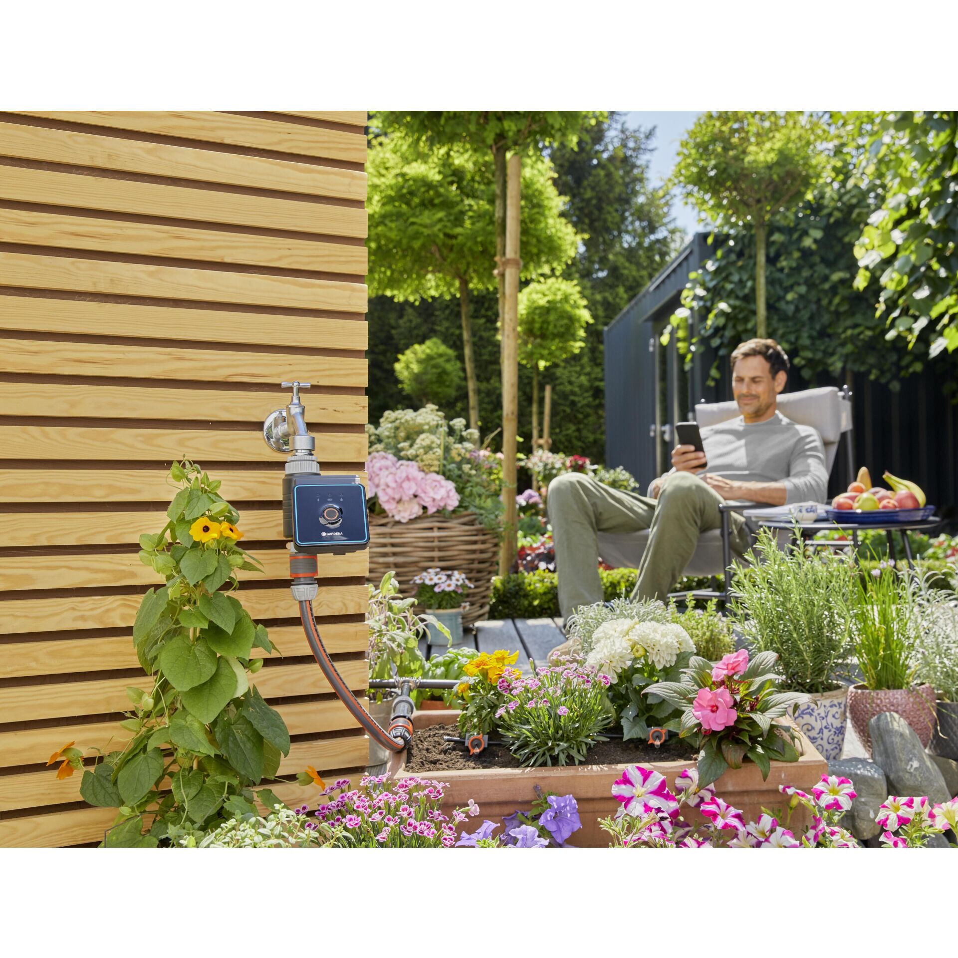 Innenarchitektur, Garten, Topfpflanze, Hinterhof, Pflanzgefäß