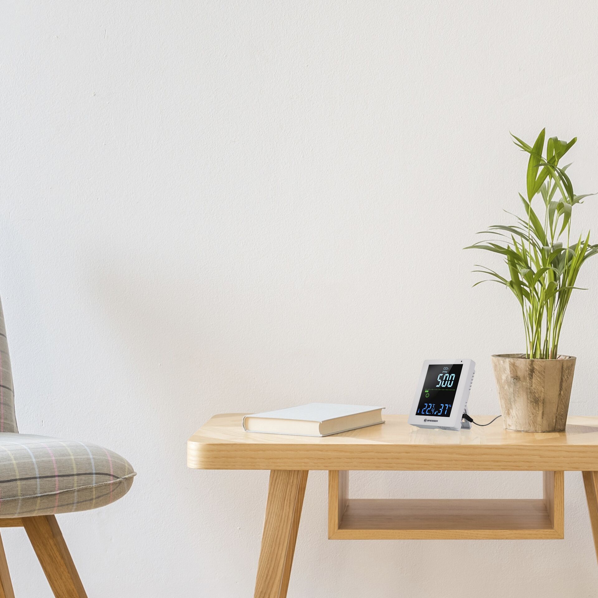 Moebel, Tabelle, Schreibtisch, Pflanze, Pflanze im Topf