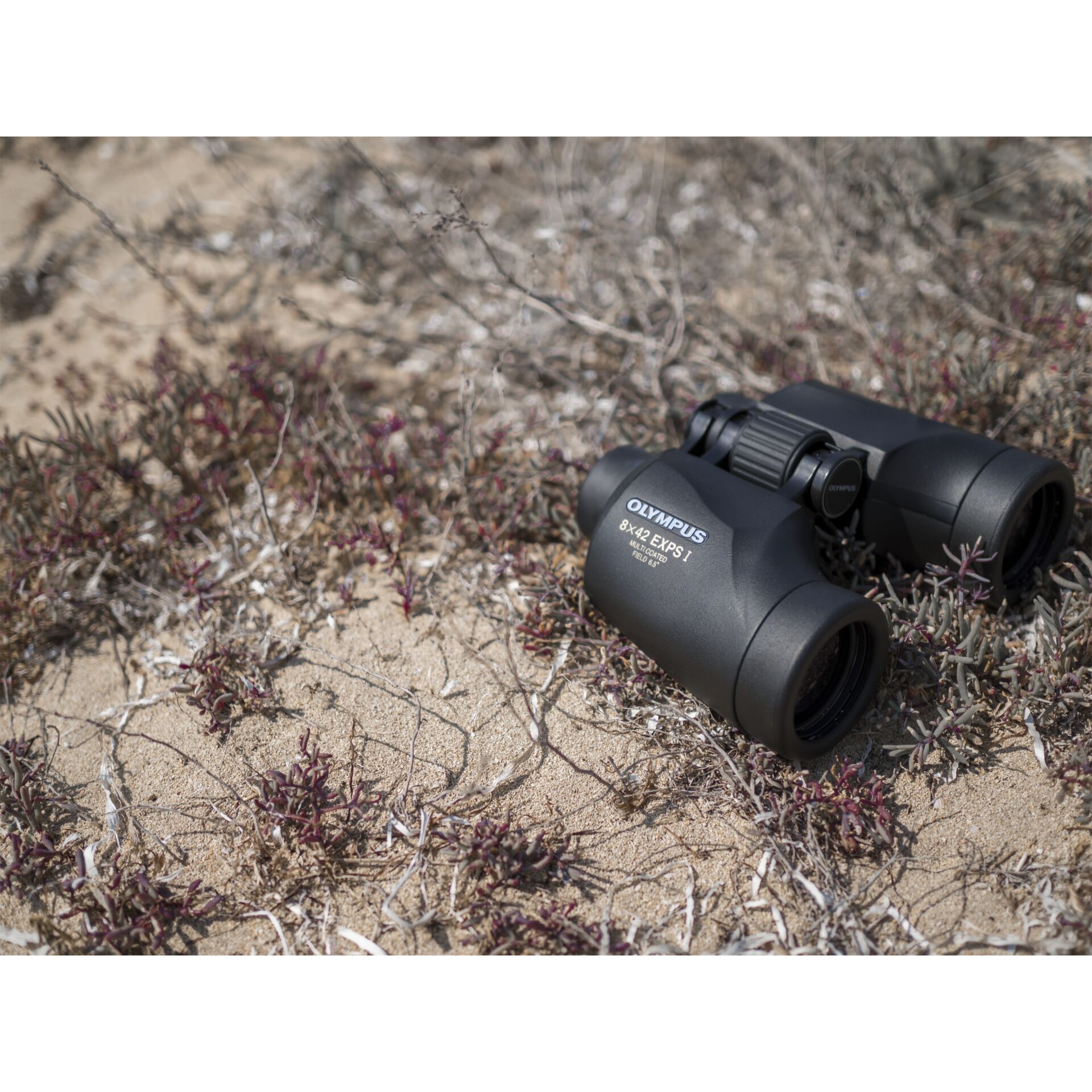 Kamera, Elektronik, Fernglas