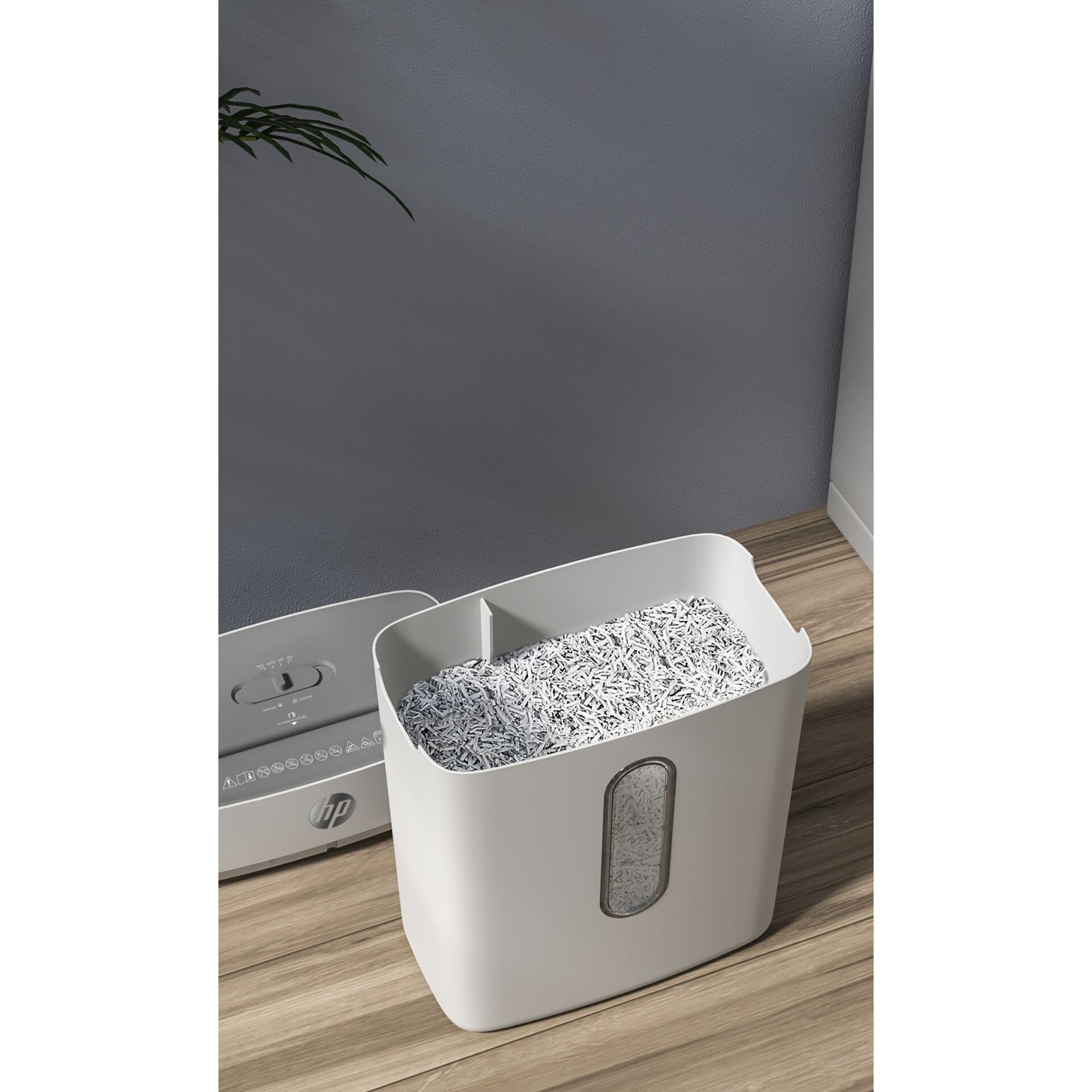 Drinnen, Innenarchitektur, Pflanze, Pflanze im Topf, Wanne