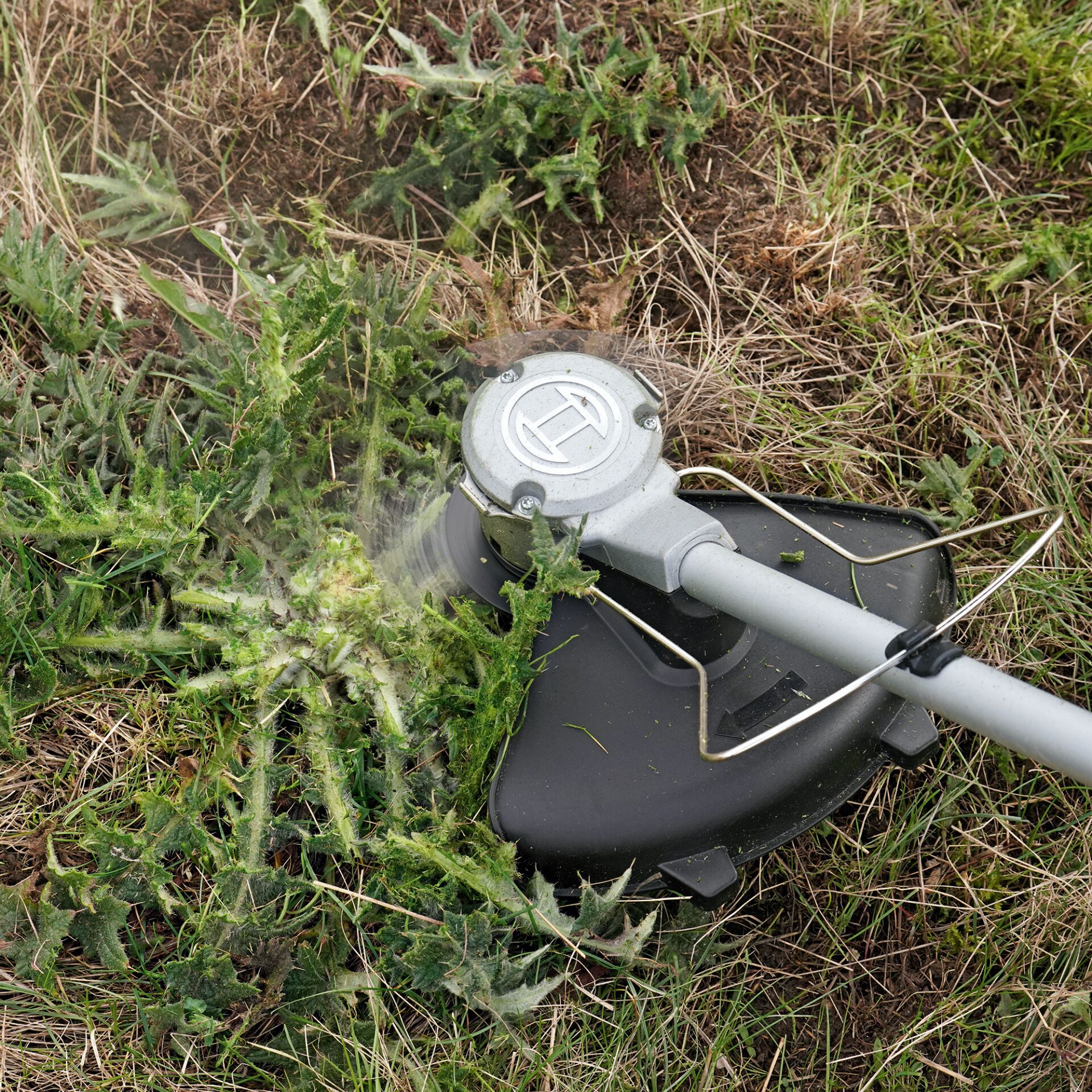 Gras, Pflanze, Rasen, Gerät