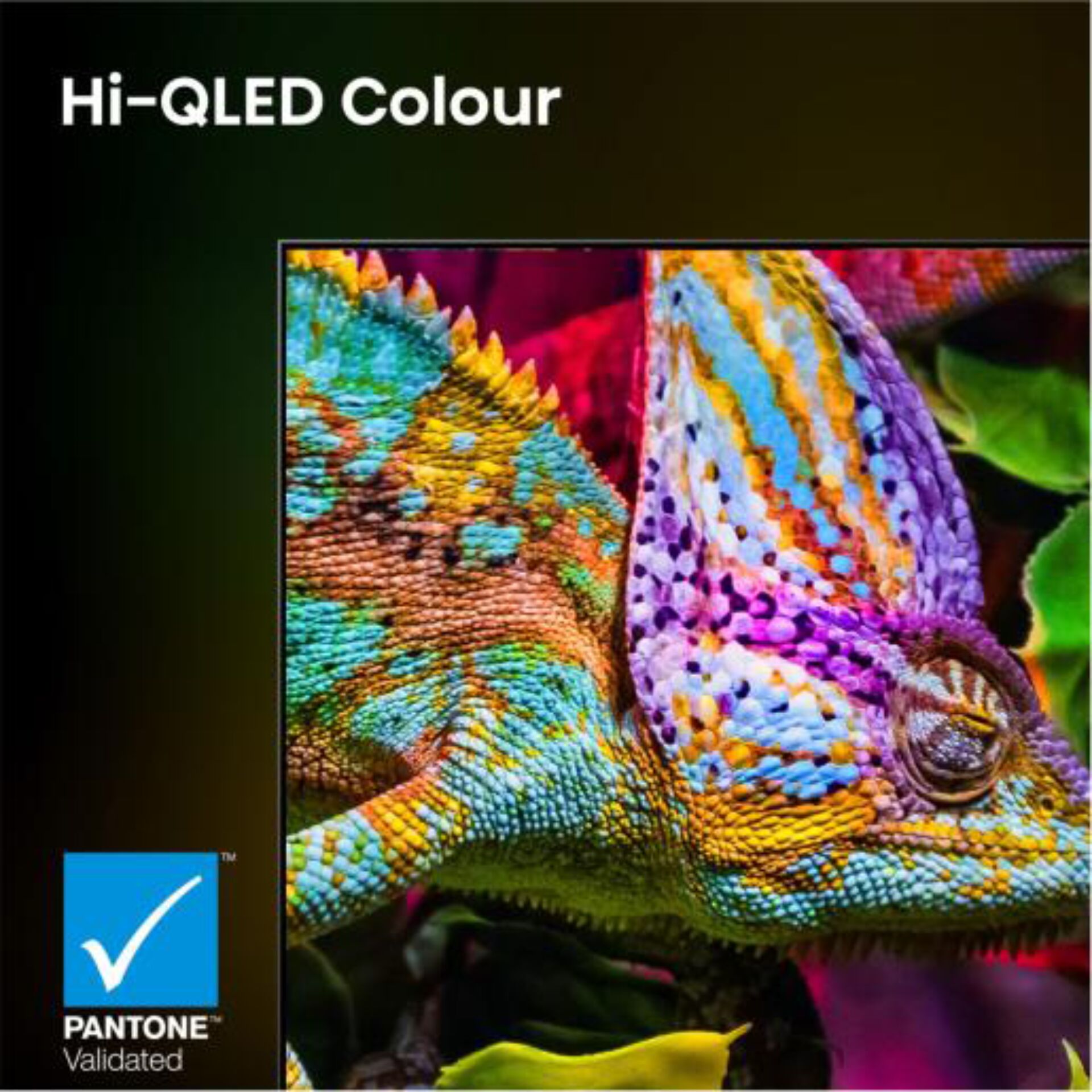 Chameleon, Bildrand, LED Fernseher, Pixelfarbe, Pantone-validiert