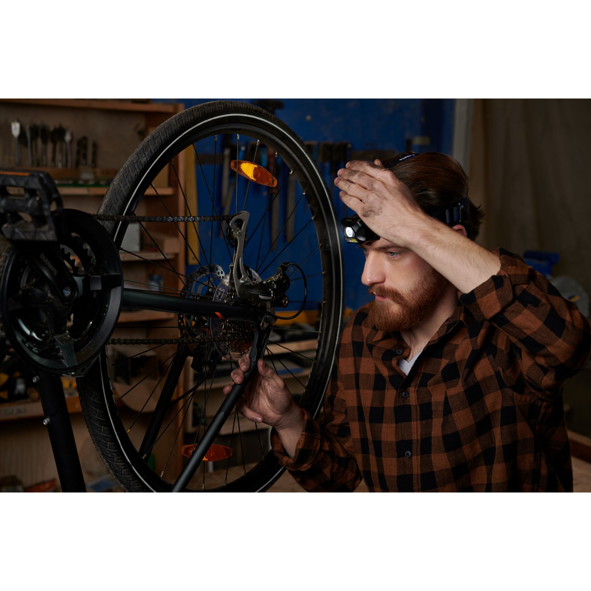 Sprach, Rad, Erwachsener, Mann, Person