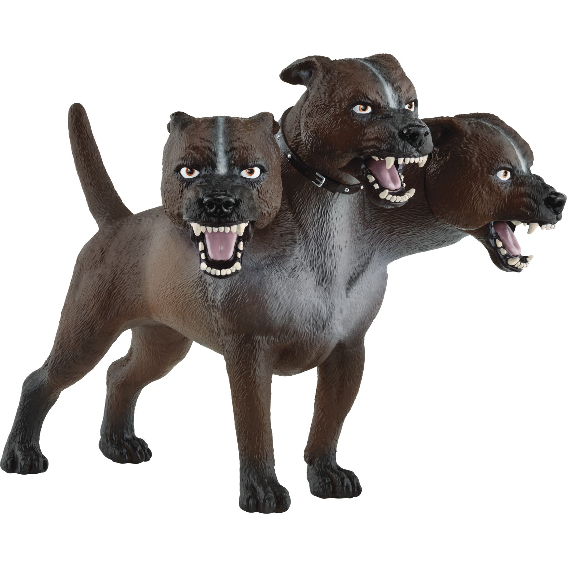 Hund, Säugetier, Haustier, Schnauze