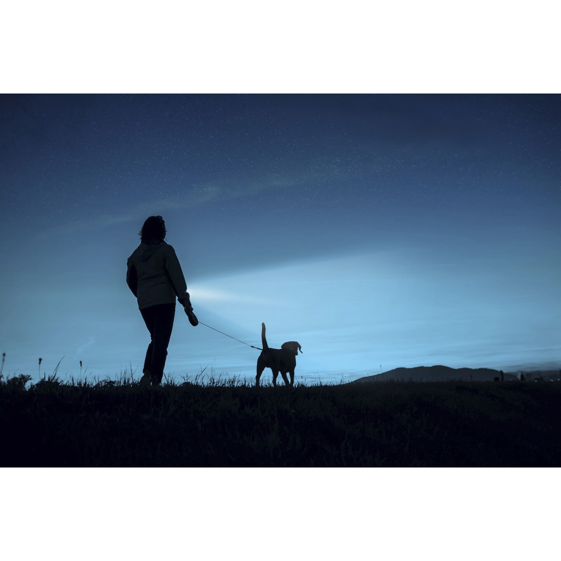Person, Gehen, Hund, Kapuzenpulli, Mann