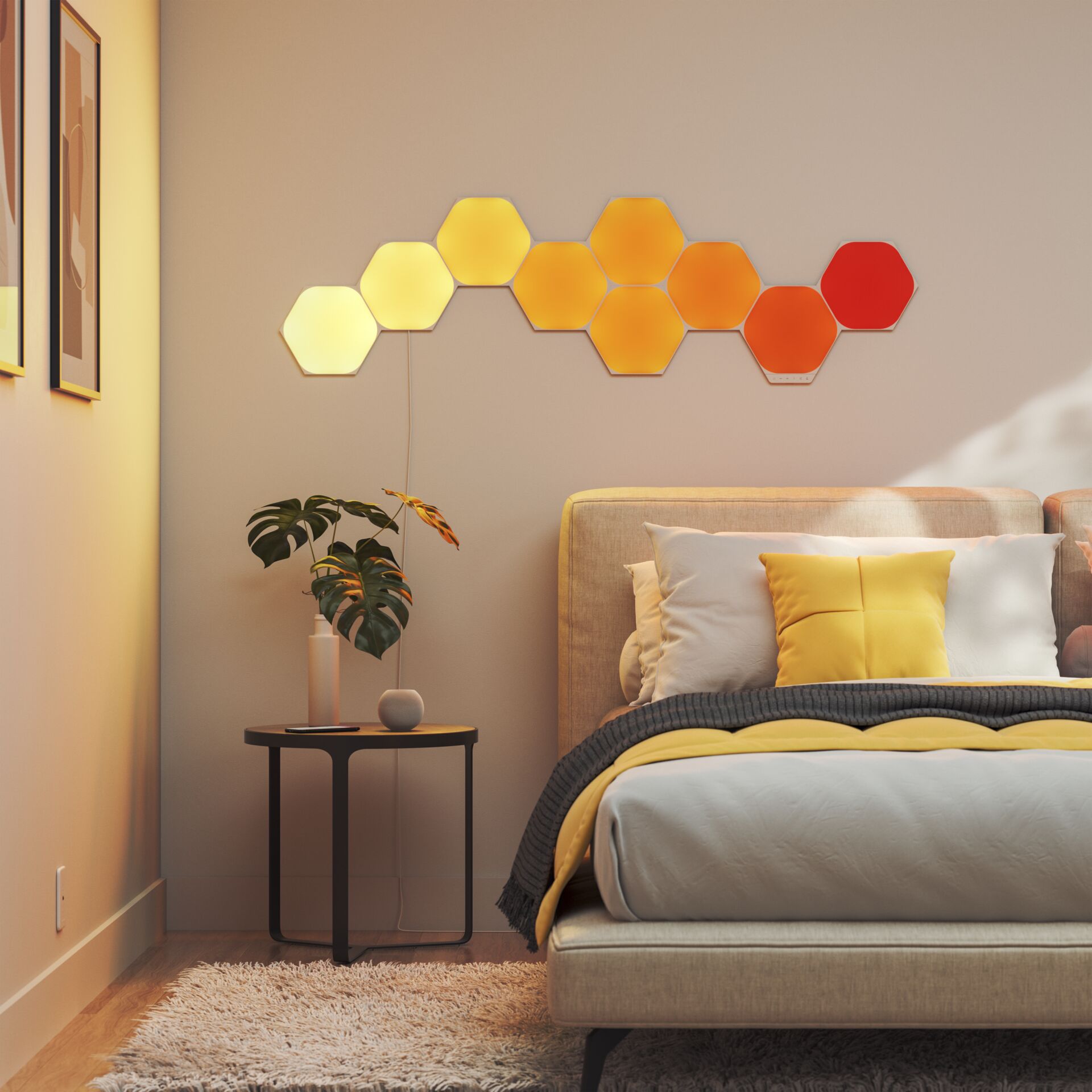 Innenarchitektur, Inneneinrichtung, Kissen, Pflanze, Lampe