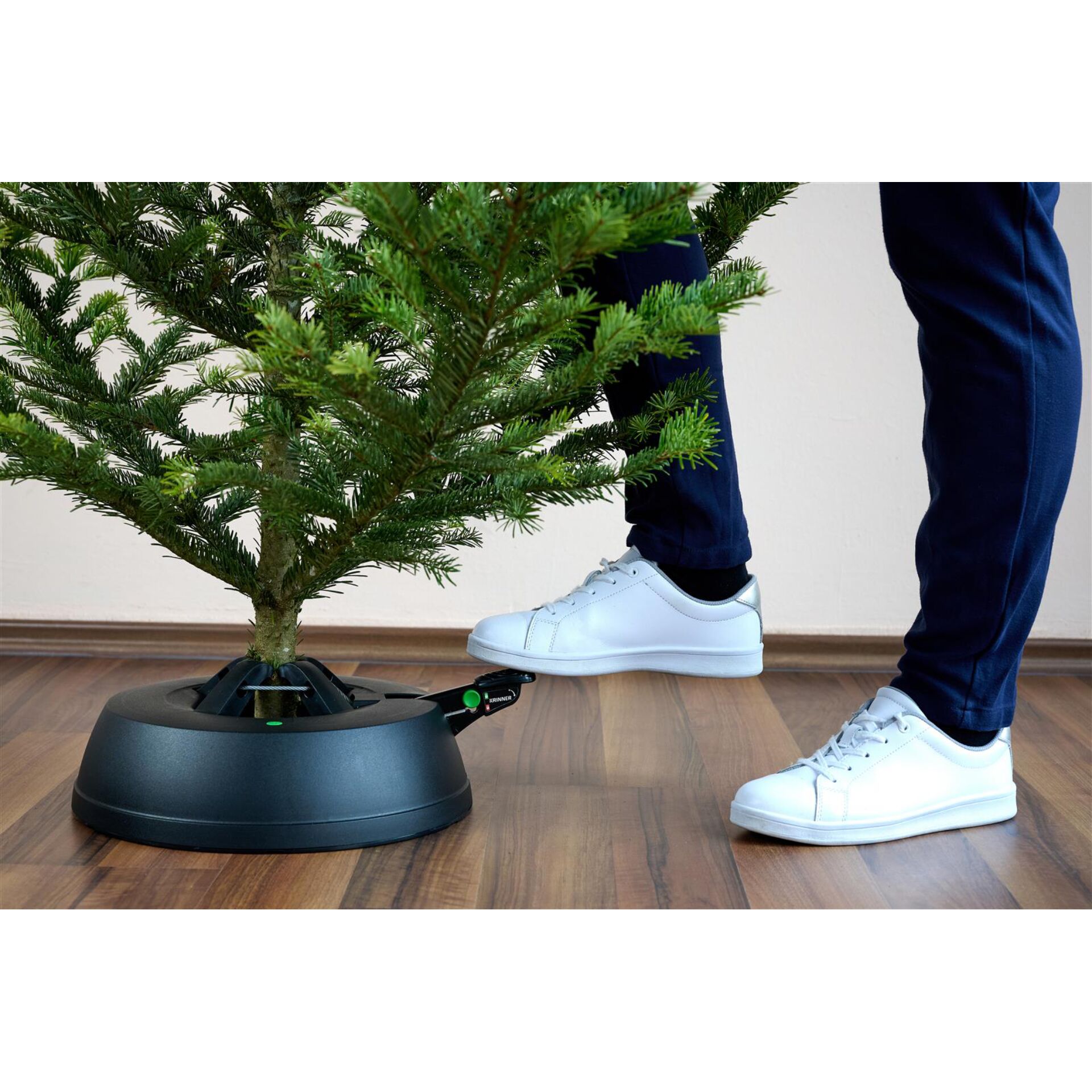 Schuh, Pflanze, Pflanze im Topf, Baum, Turnschuh