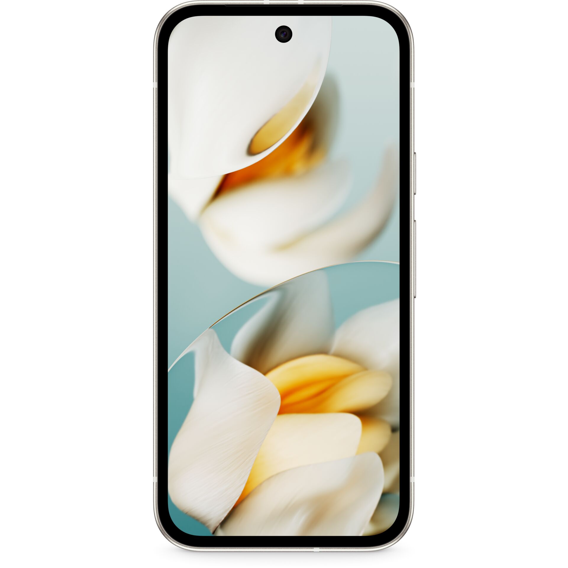 Elektronik, Handy, Telefon, iPhone