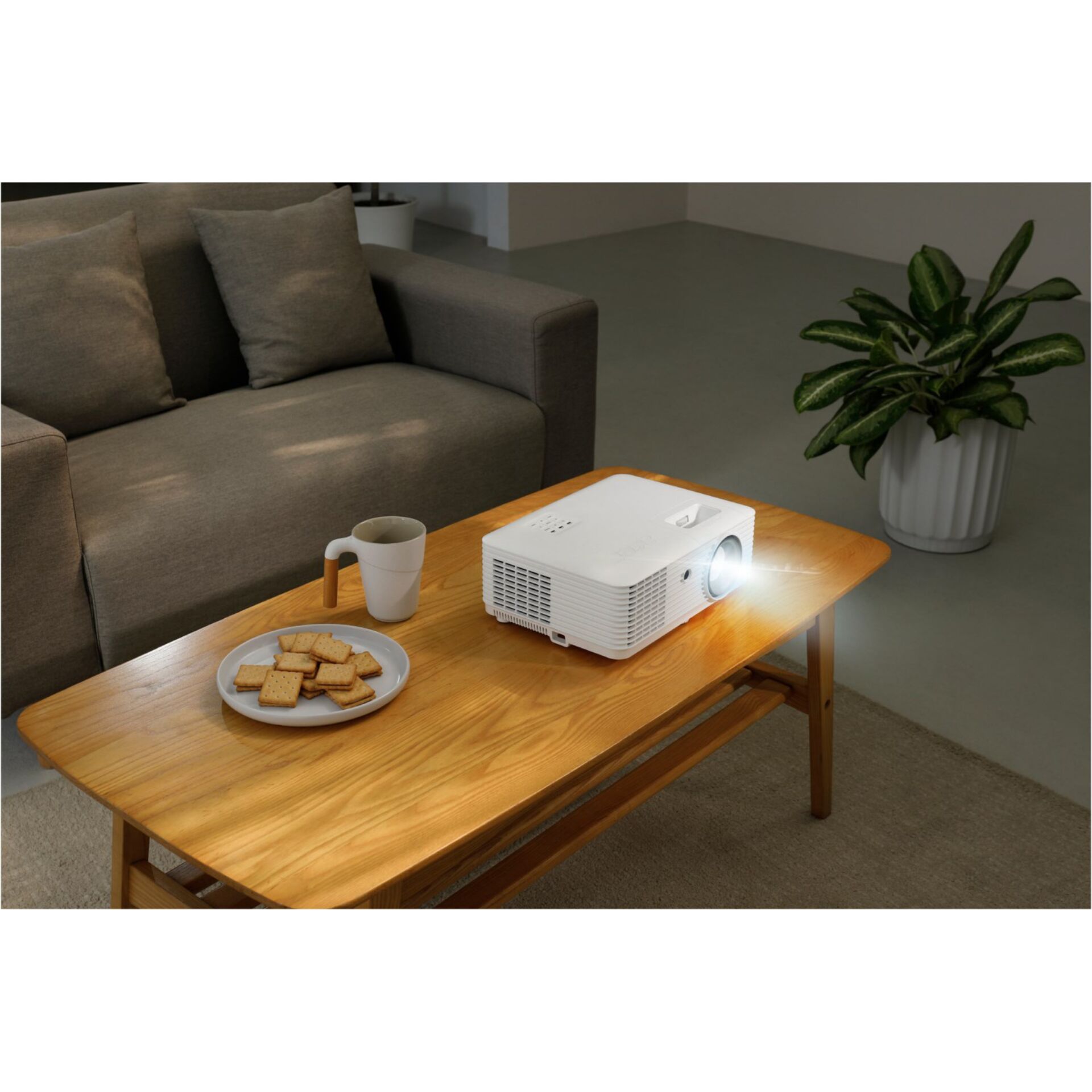 Kaffeetisch, Mobiliar, Tabelle, Tischplatte, Pflanze