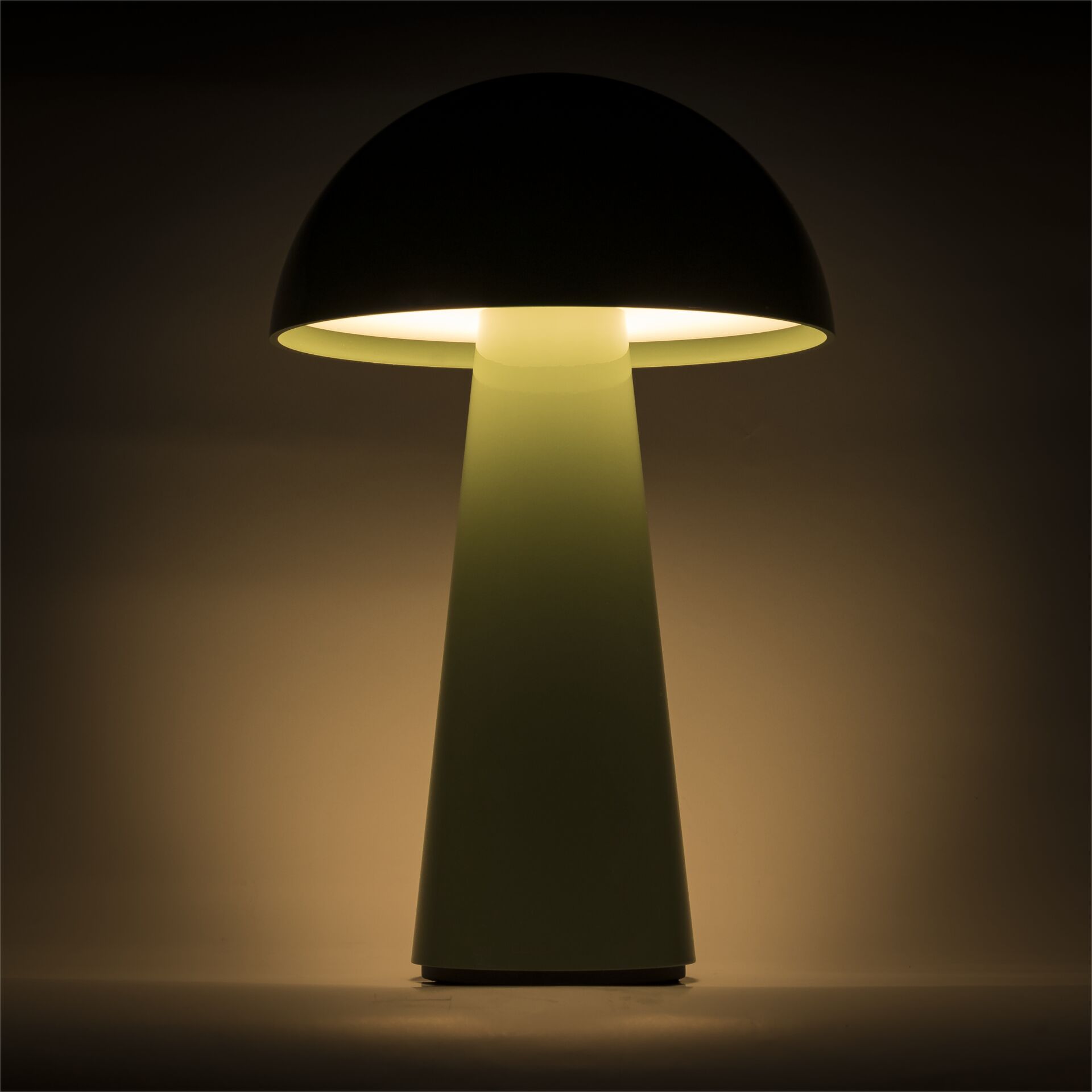Lampe, Lampenschirm