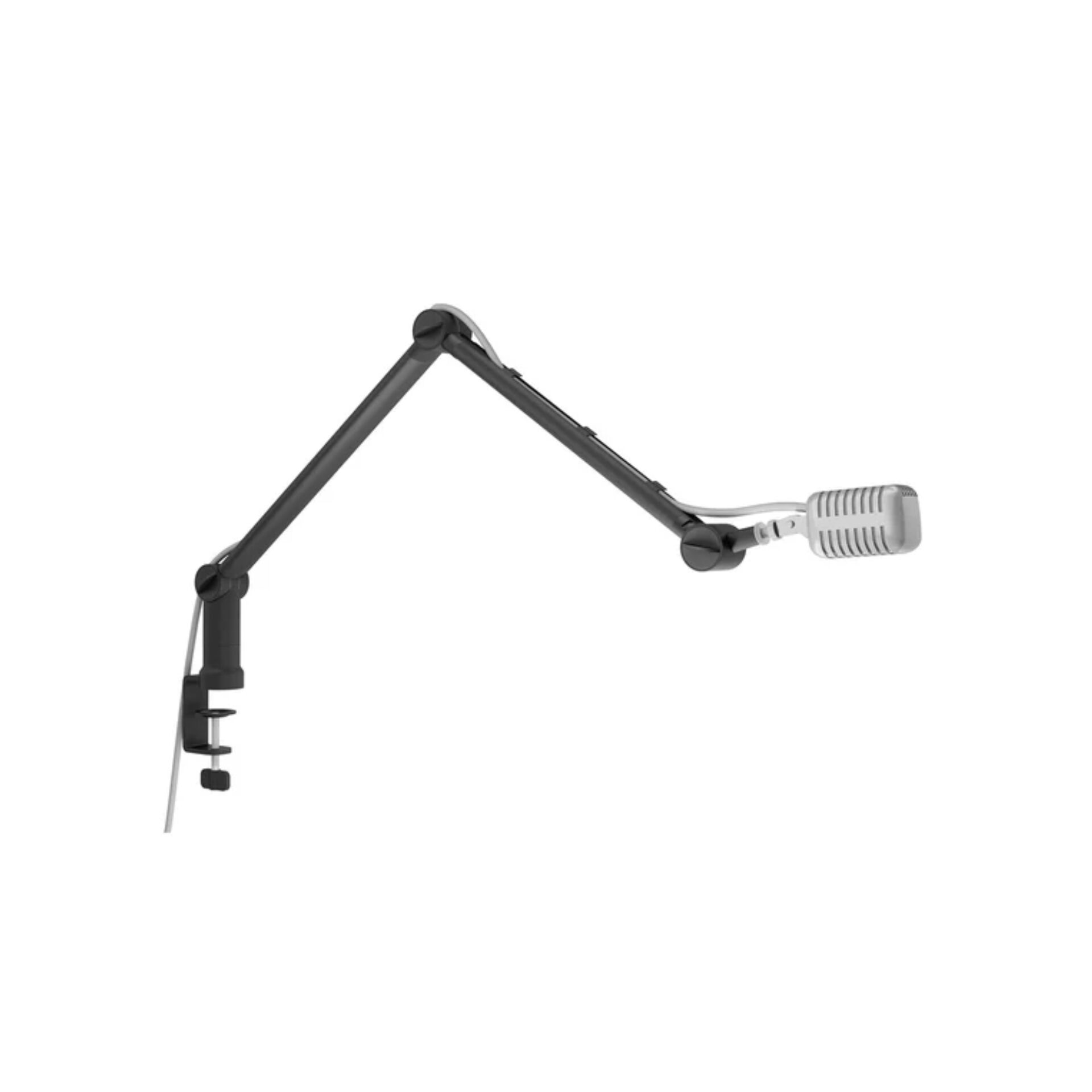 Elektrisches Gerät, Mikrophon