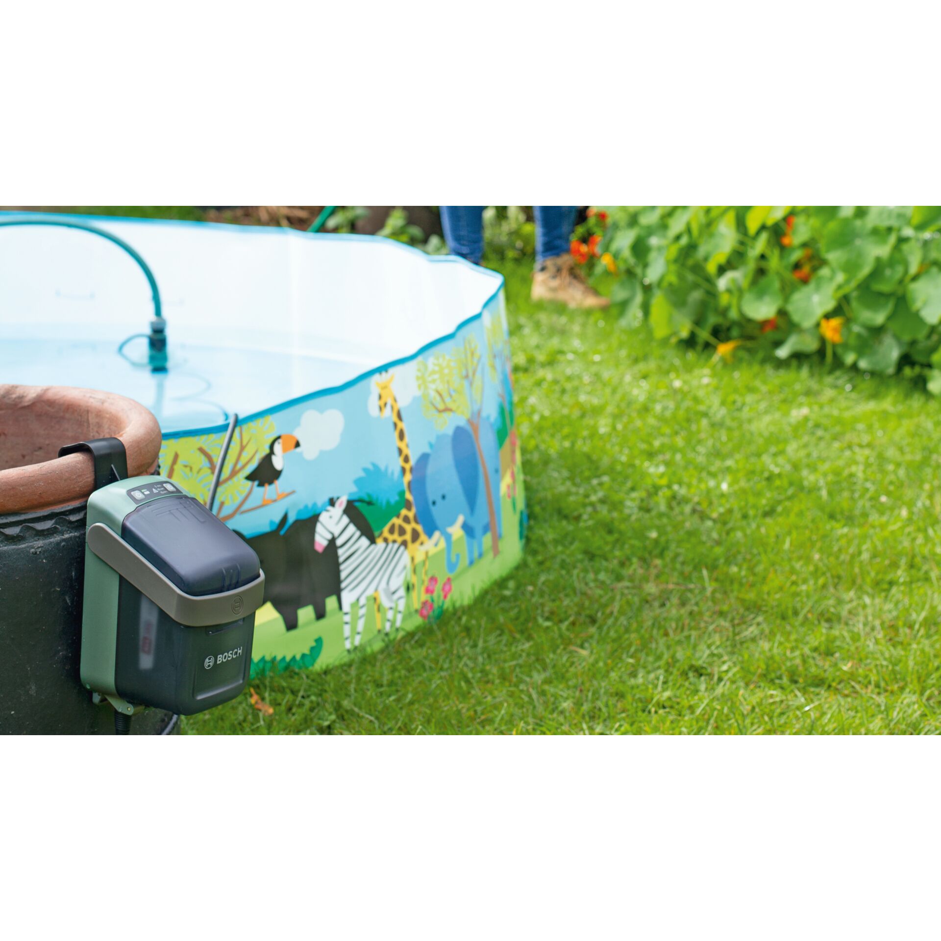 Gras, Rasen, Innenarchitektur, Schuh, Person