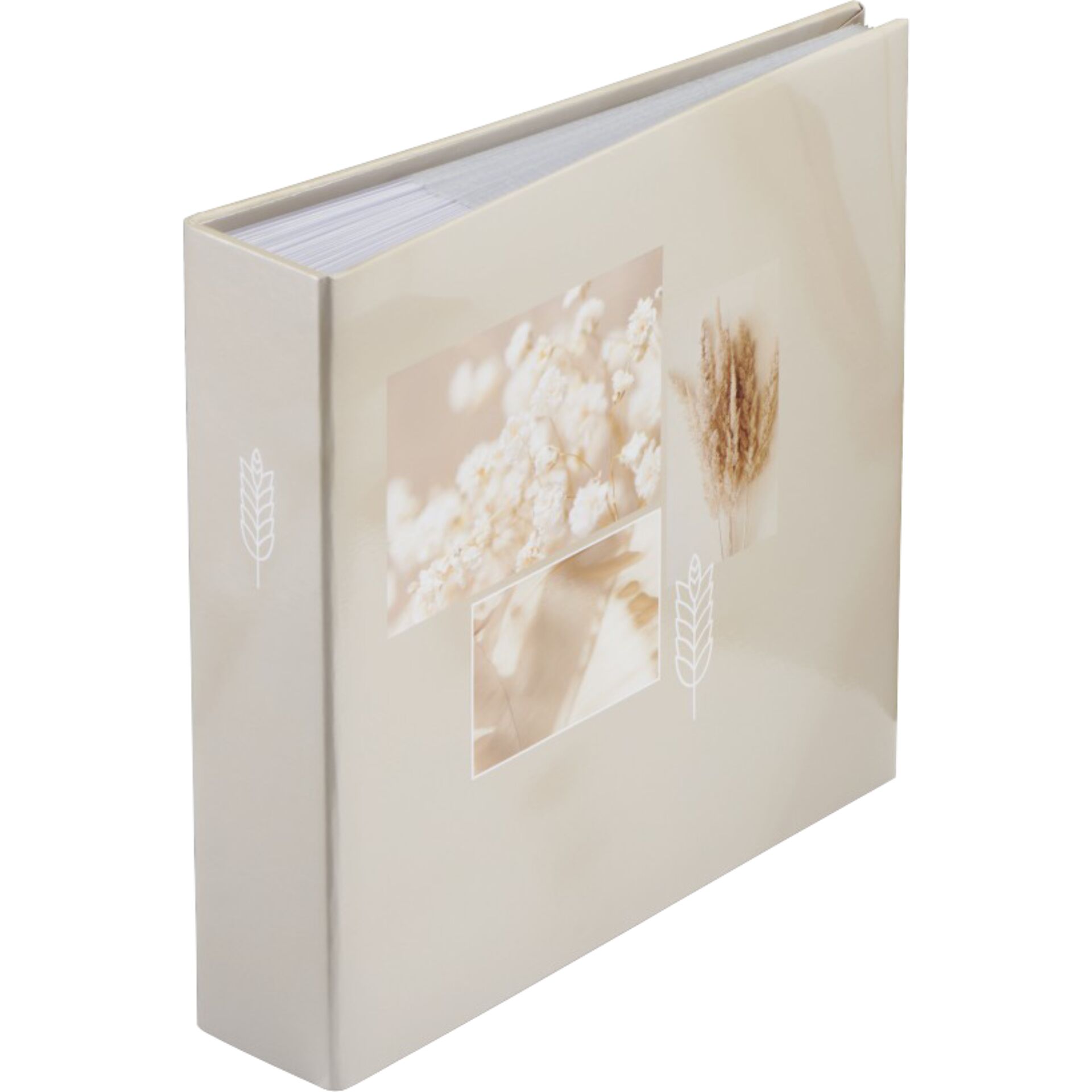 Buch, Veröffentlichung