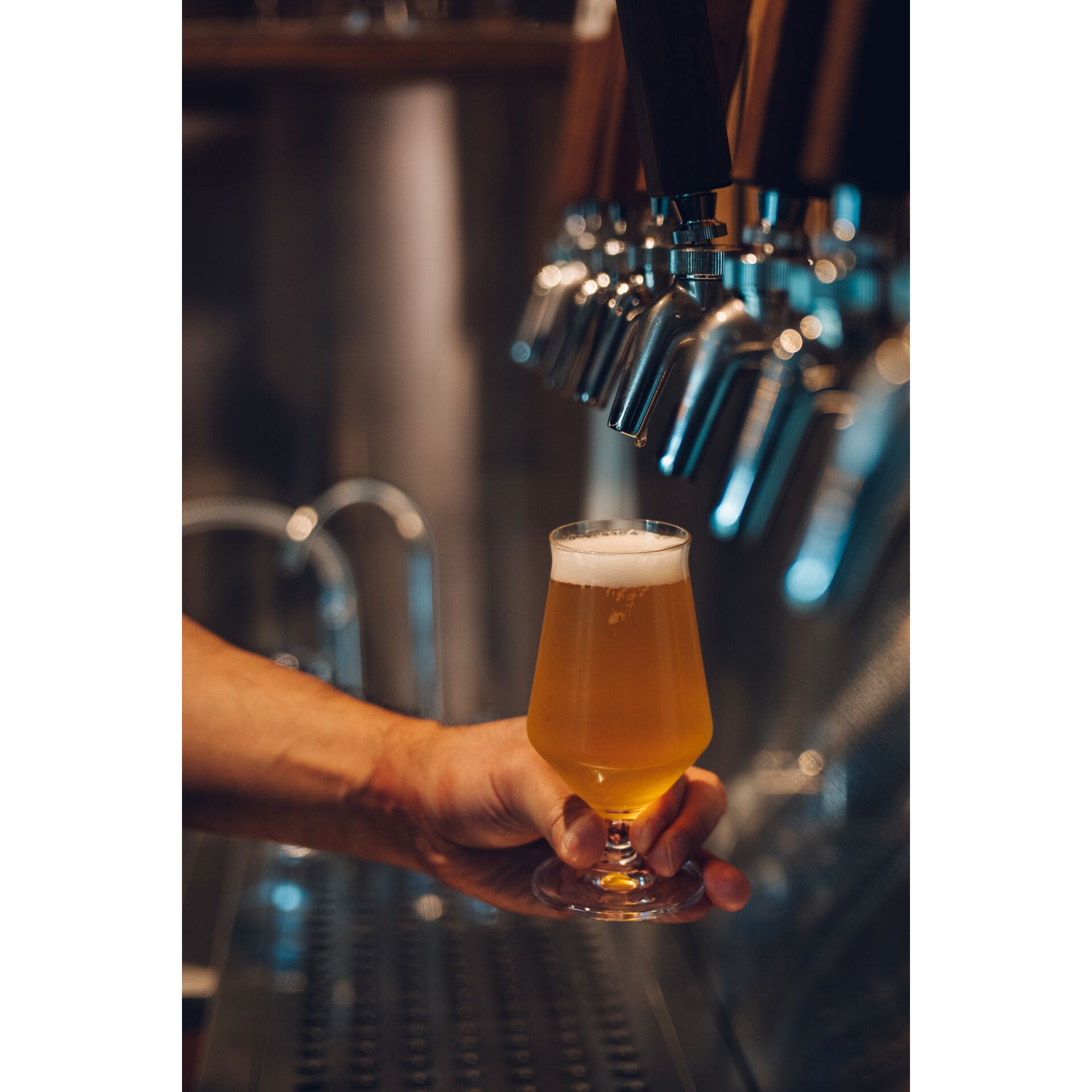 Glas, Bier, Lagerbier, Pokal, Bierglas