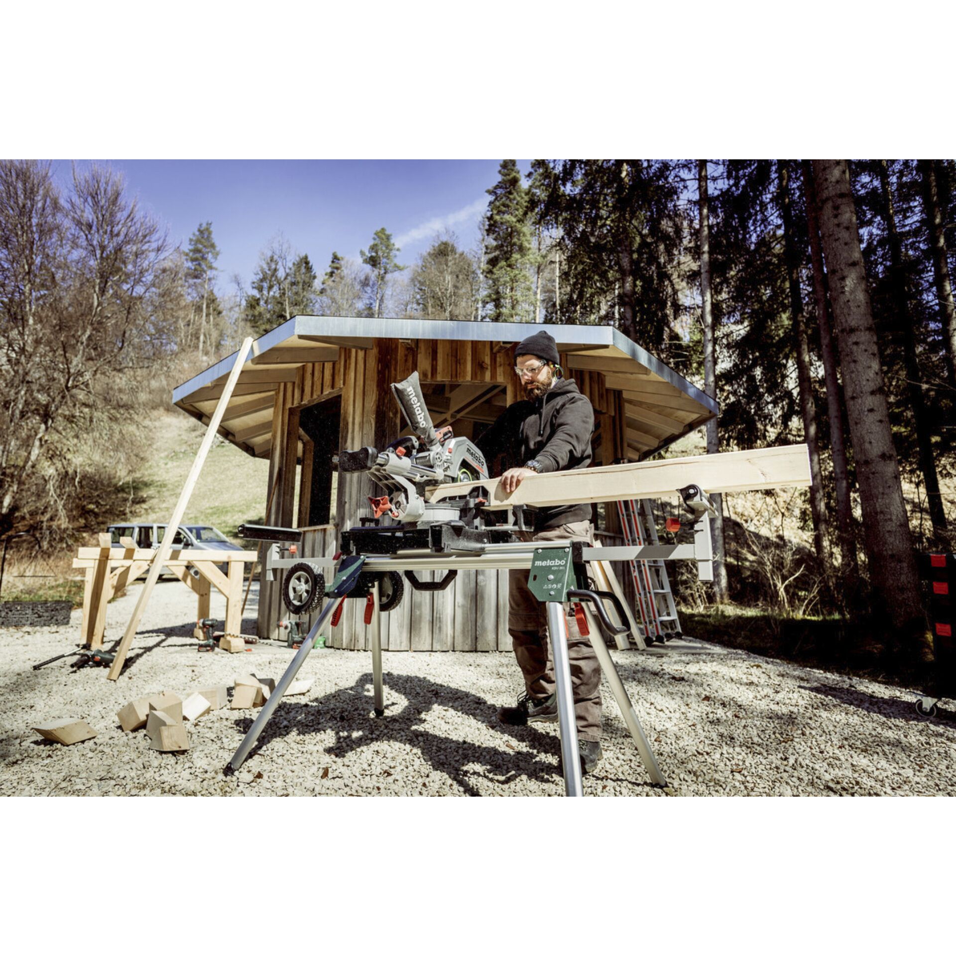 Tierheim, Holz, Erwachsener, Mann, Person