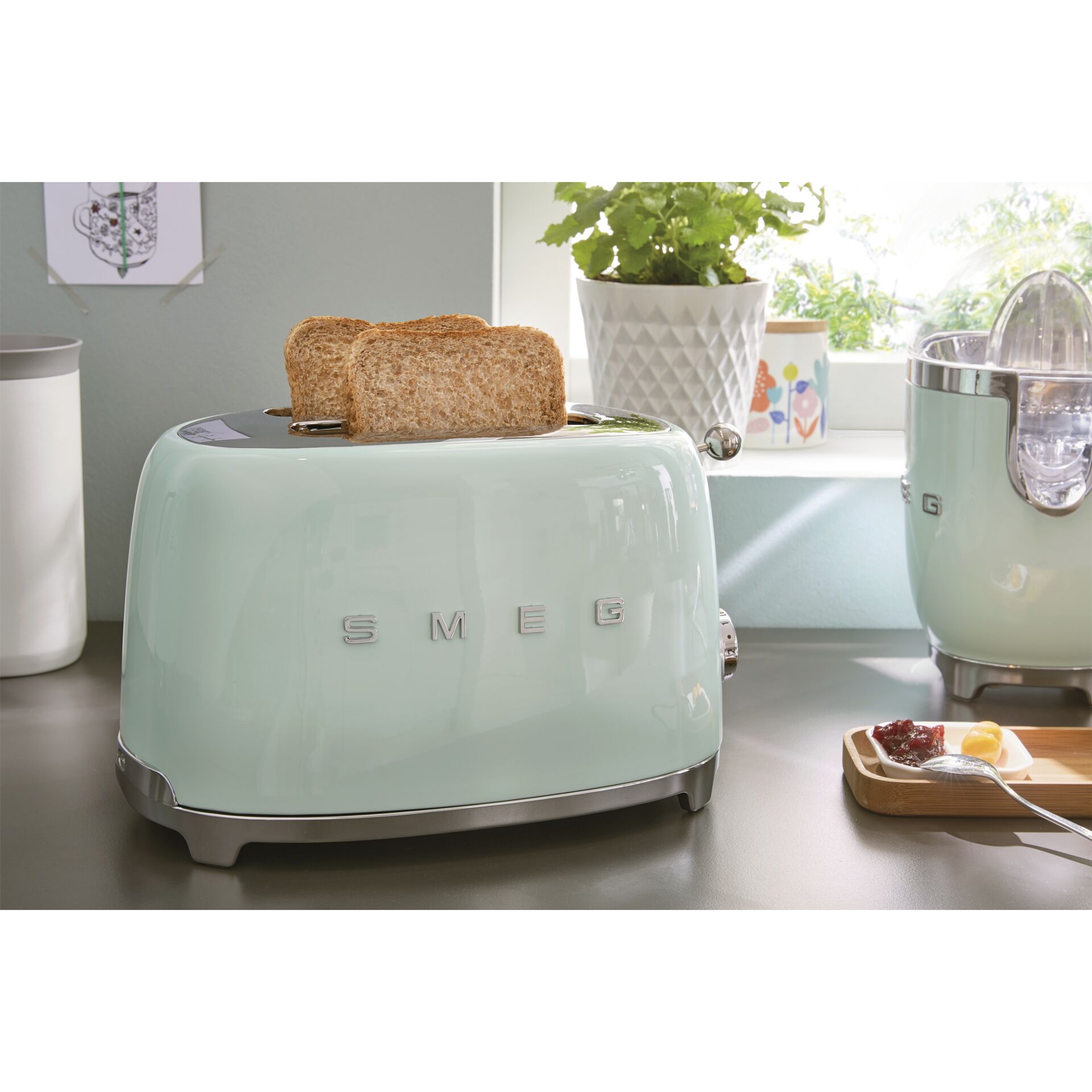 Gerät, Pflanze, Elektrisches Gerät, Toaster, Gerät, Pflanze, Elektrisches Gerät, Toaster, Gerät, Pflanze, Elektrisches Gerät, Toaster, Gerät, Pflanze, Elektrisches Gerät, Toaster, Gerät, Pflanze, Elektrisches Gerät, Toaster