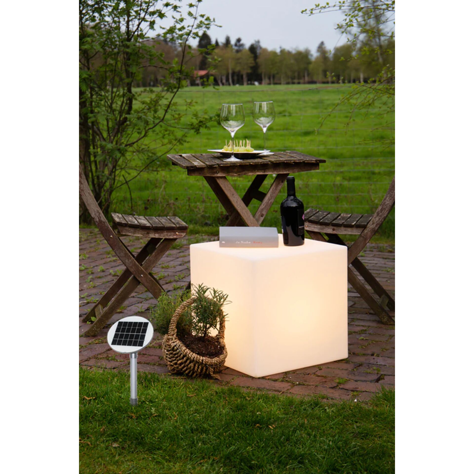 Natur, Draußen, Gras, Pflanze, Stuhl