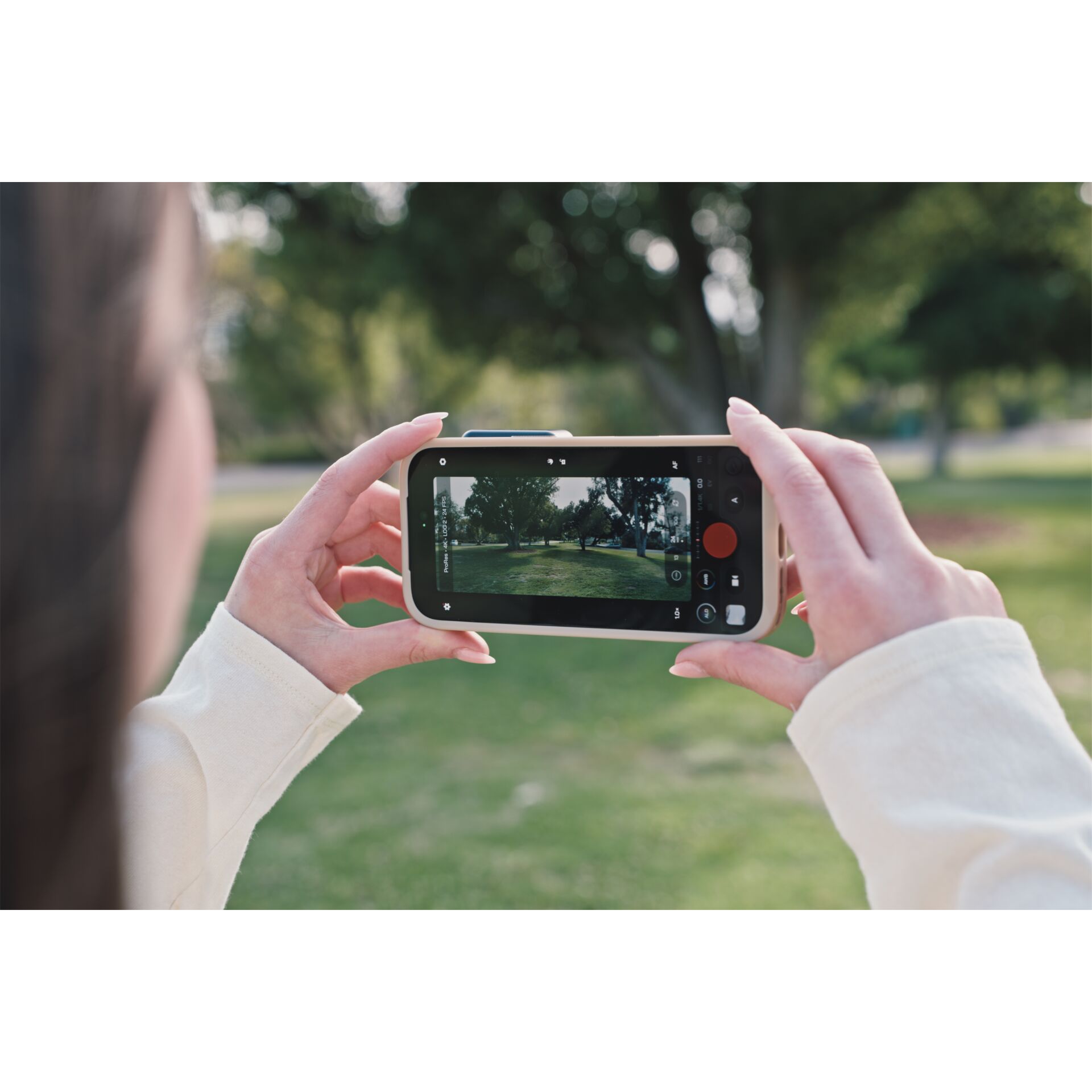 handheld, smartphone, Kamera, Fotografie, Park, Smartphone, Handy, Kameraansicht, Videoaufnahme, Draußen
