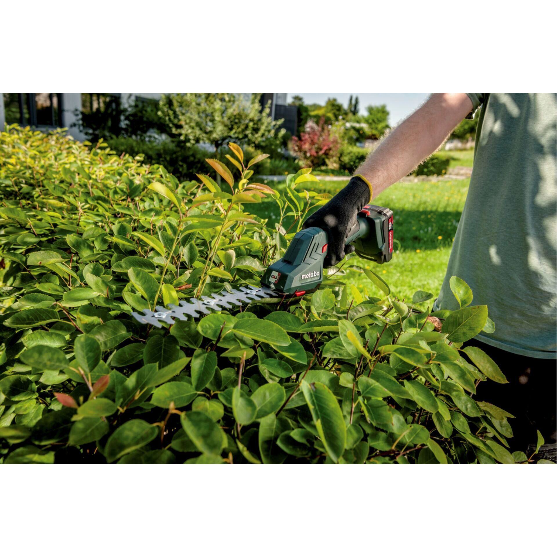 Garten, Natur, Draußen, Gras, Gartenarbeit