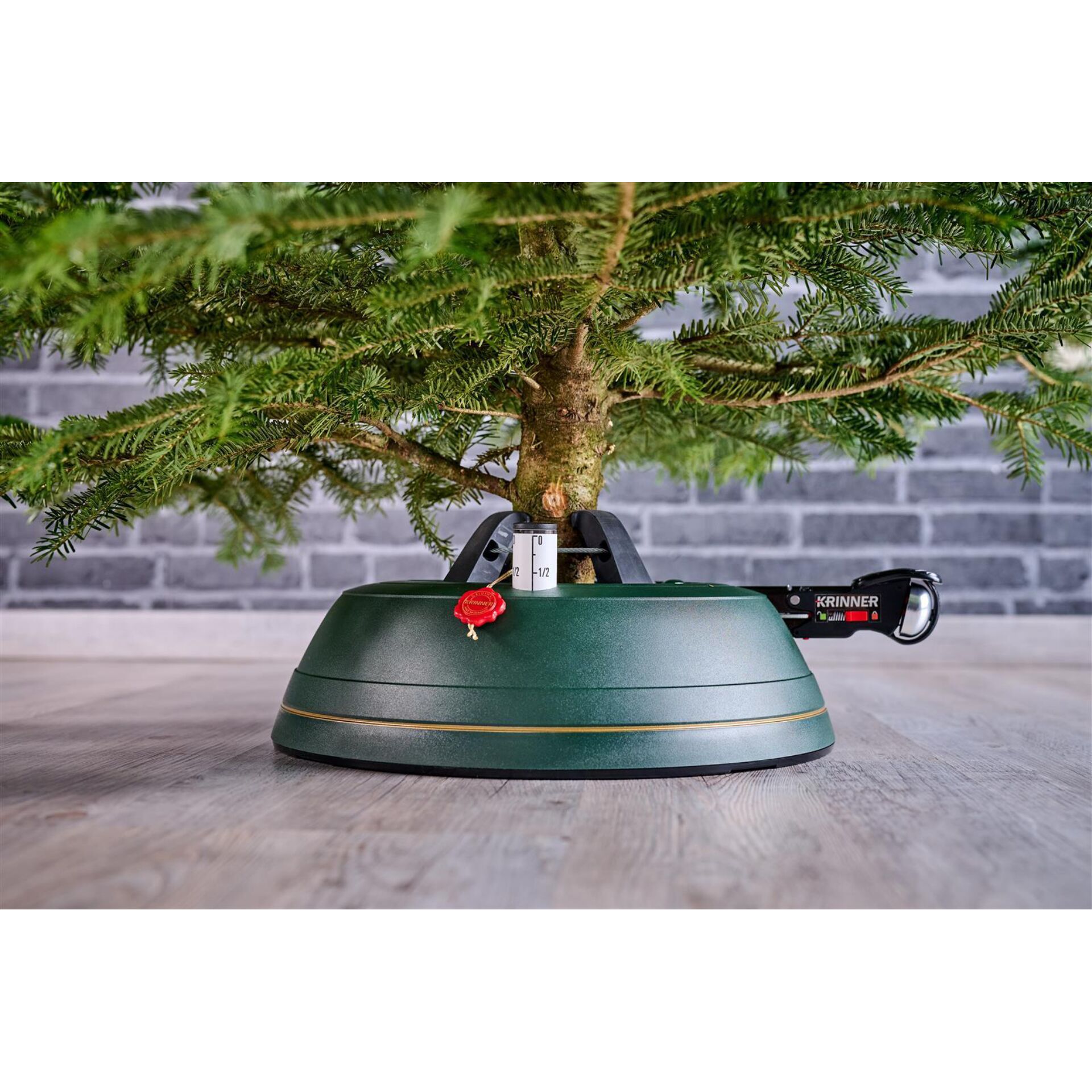 Pflanze, Baum, Konifer