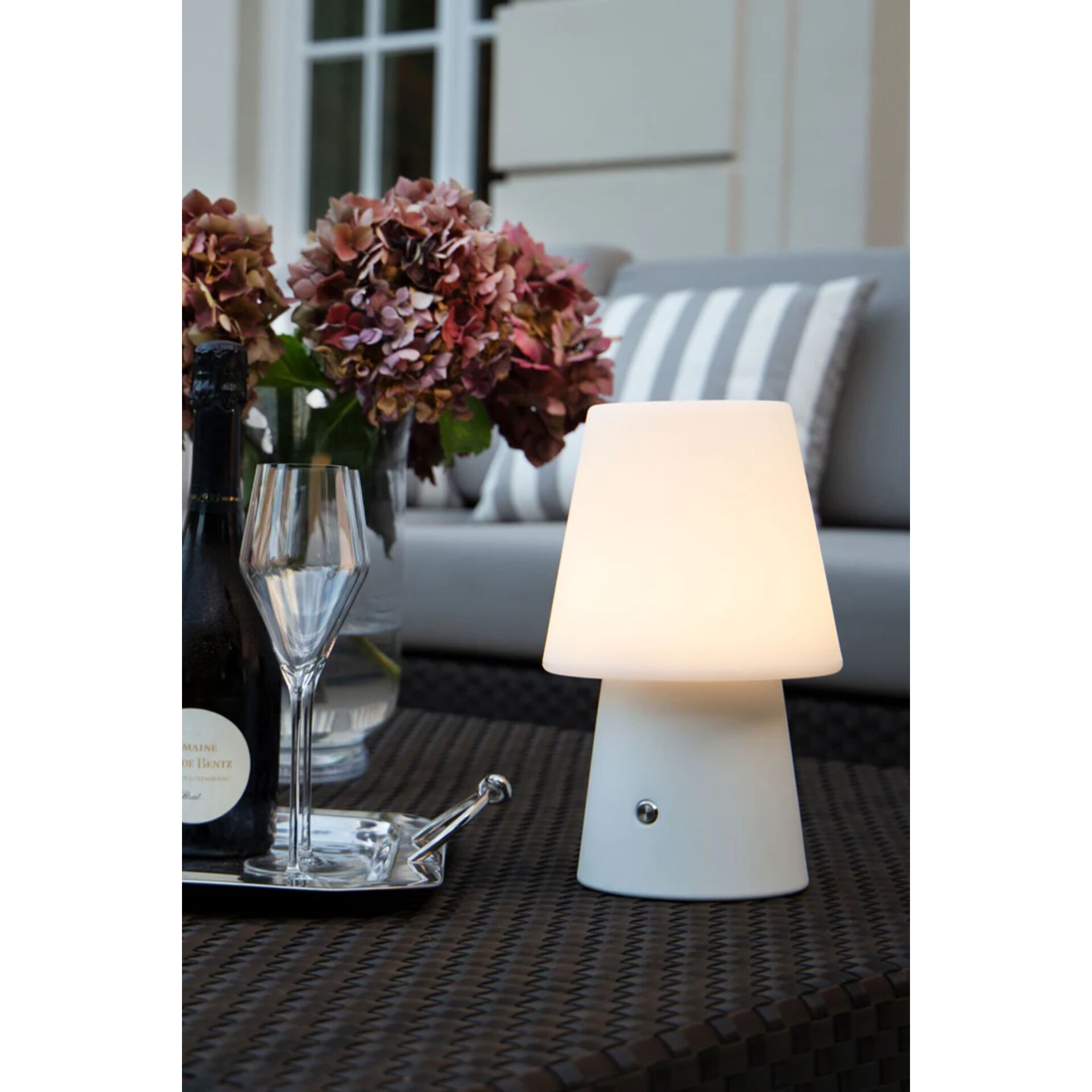 Lampe, Blume, Blumen-Arrangement, Pflanze