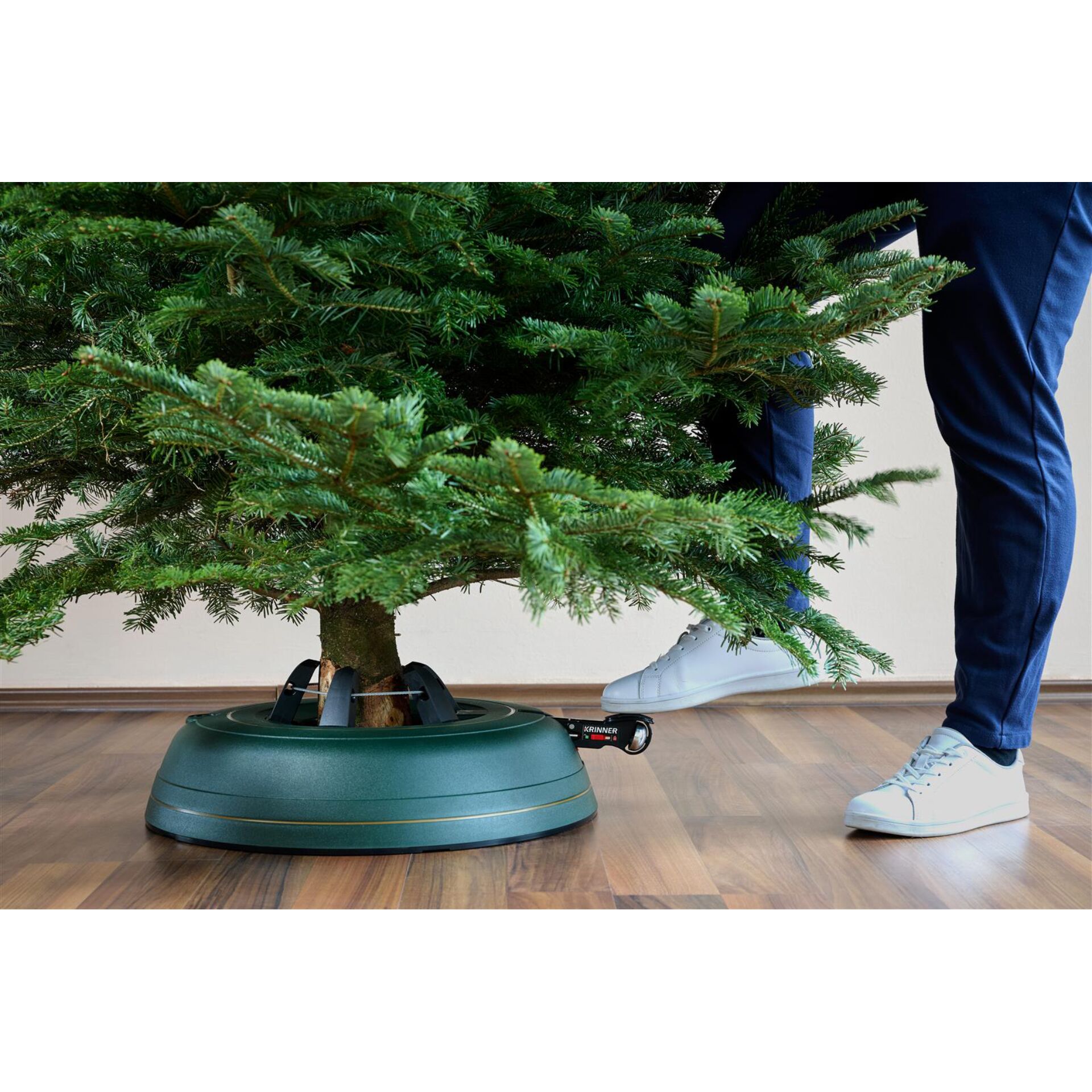 Pflanze, Baum, Topfpflanze, Schuh, Tanne