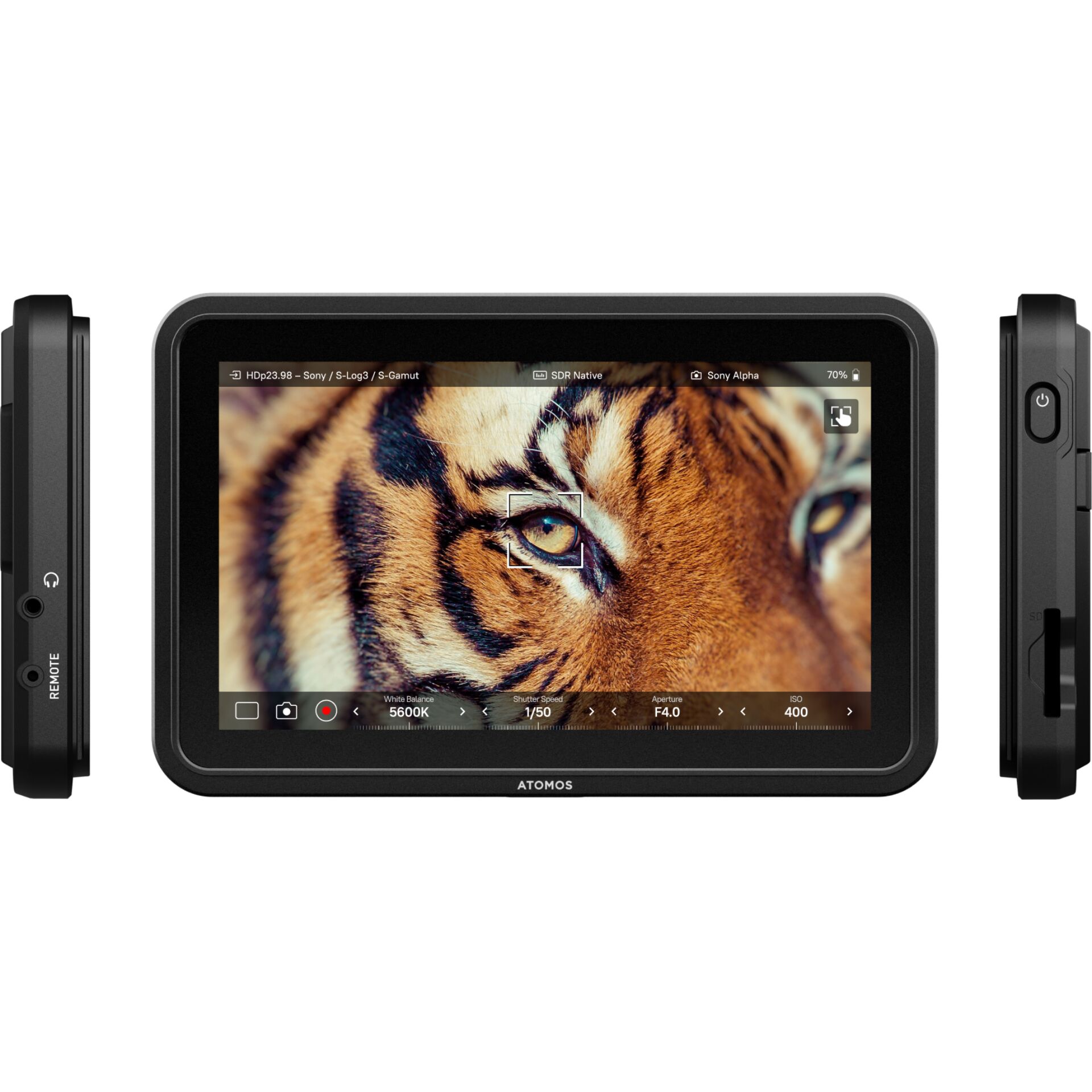 Monitor, Field Monitor, Tiger image, HD monitor, Kleiner Formfaktor