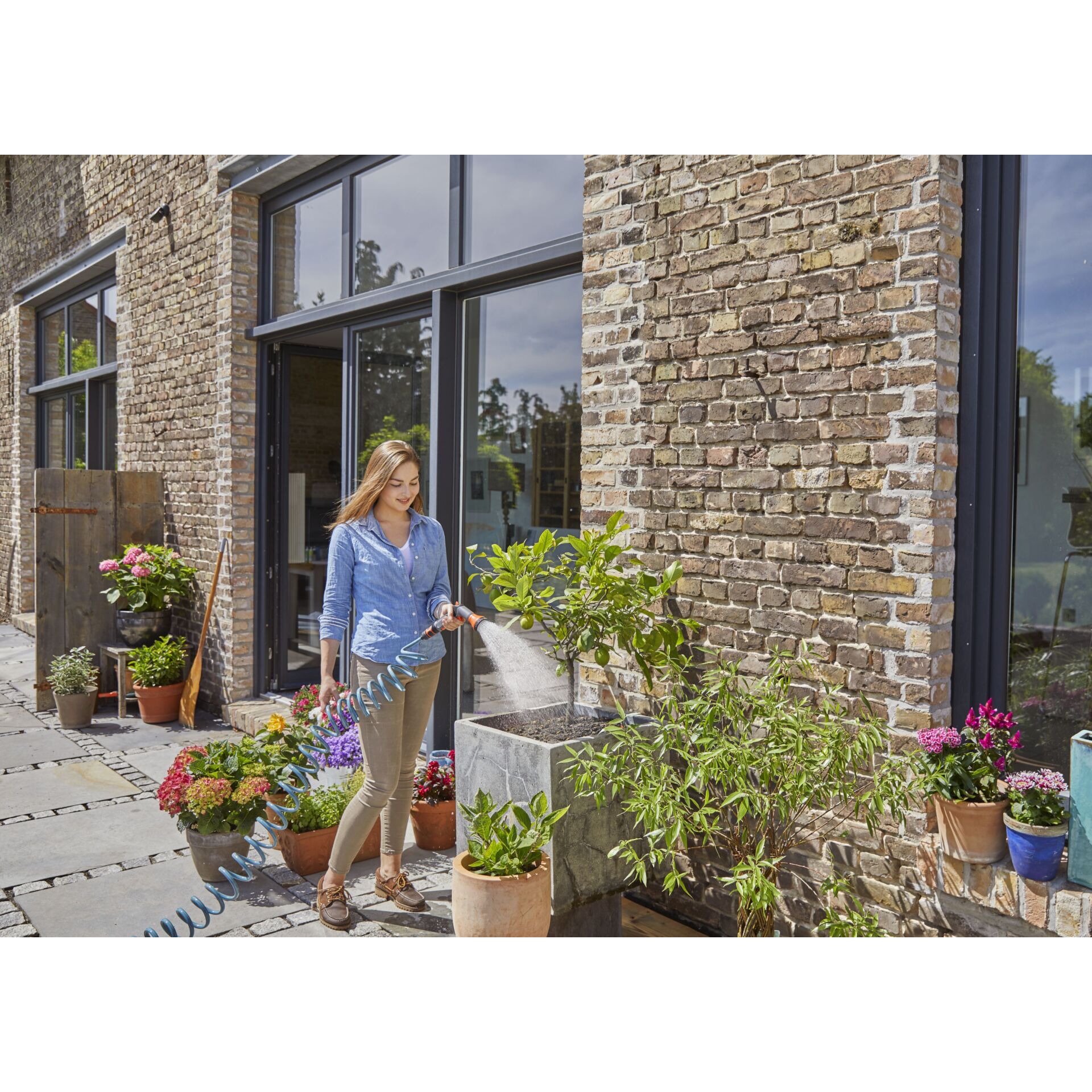 Innenarchitektur, Pflanze, Pflanzgefäß, Topfpflanze, Person