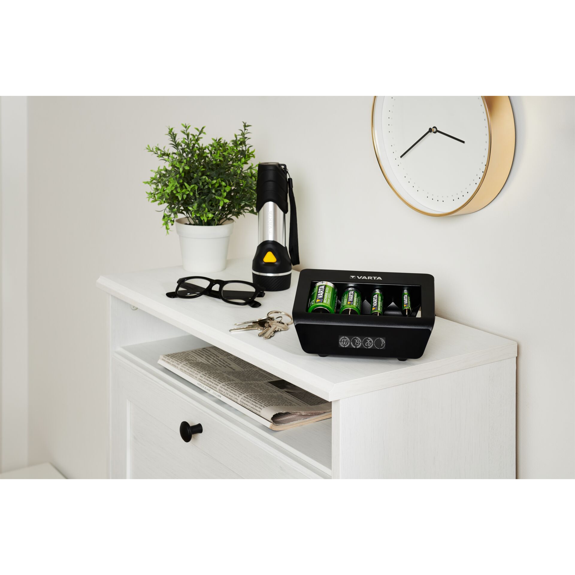 Pflanze, Pflanze im Topf, Zubehör, Brillen