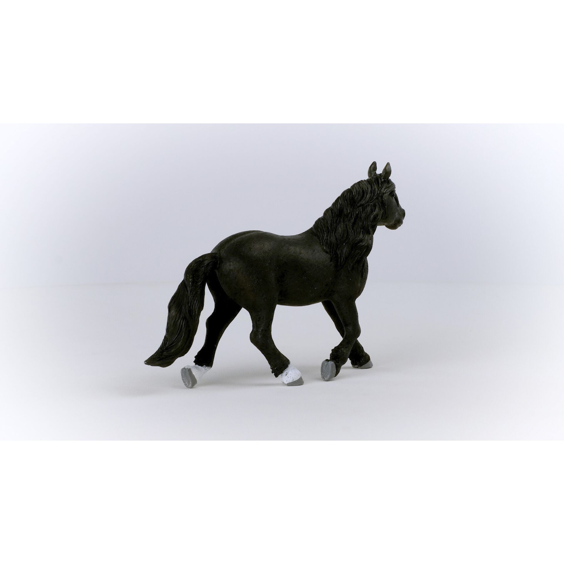 Andalusisches Pferd, Tier, Pferd, Säugetier, Colt Horse