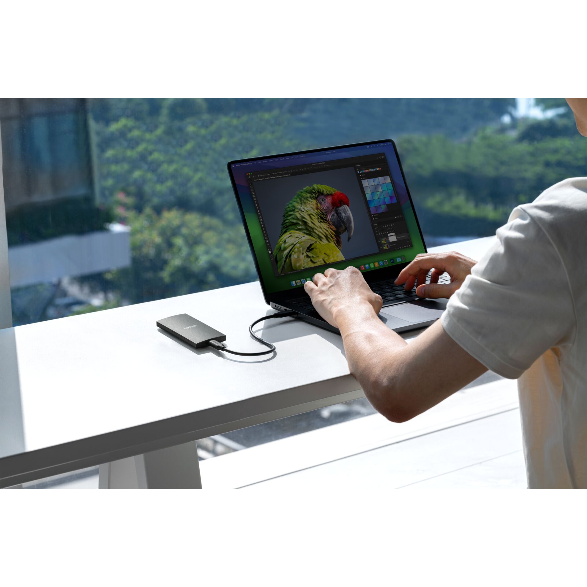 Laptop, Parrot wallpaper, USB-C Dock, Externe Dockingstation, Arbeitsplatz-Zubehör