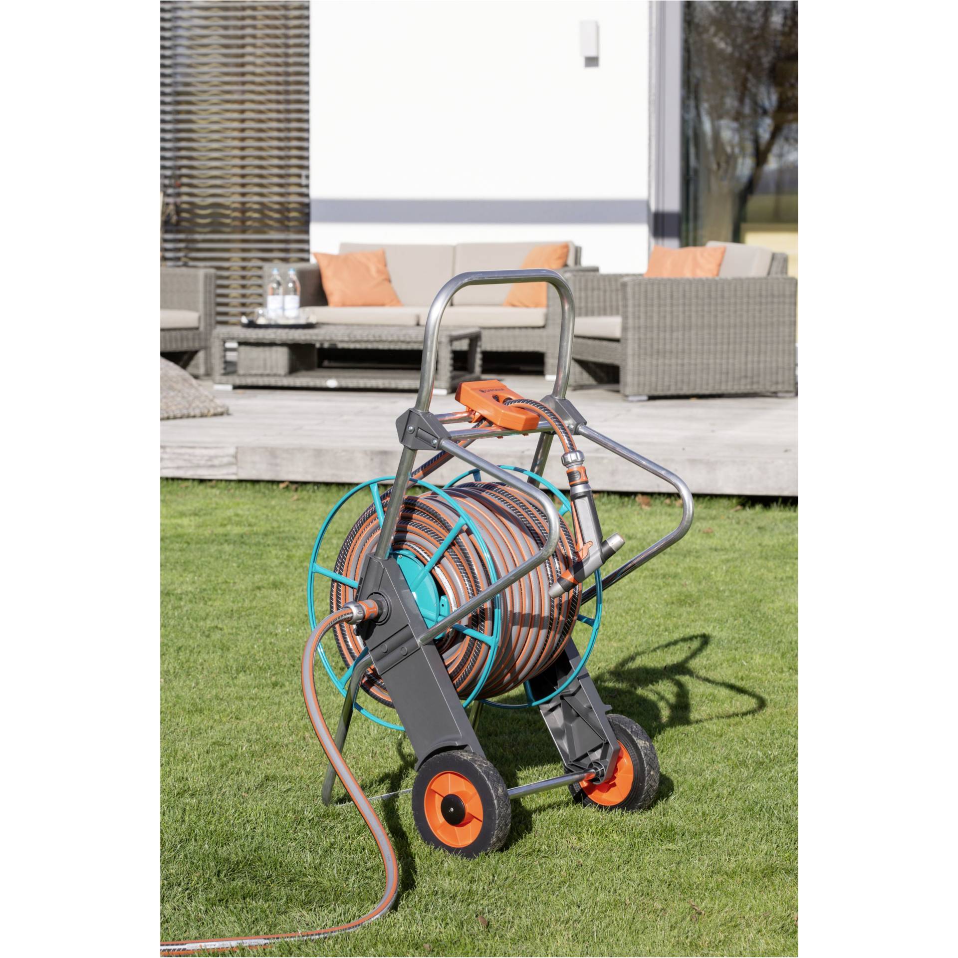 Gras, Pflanze, Rasen