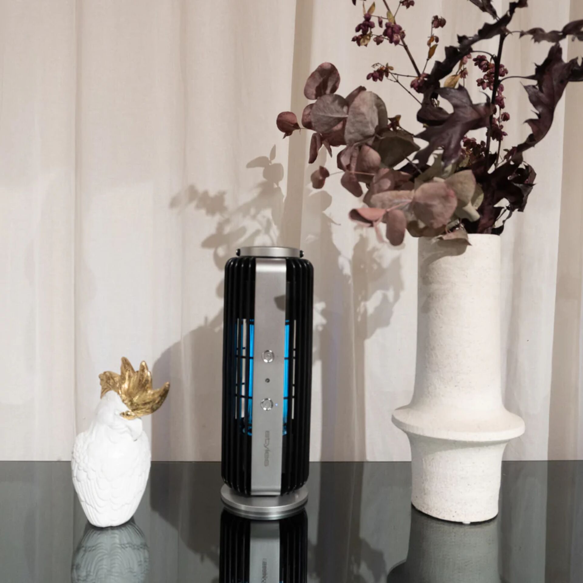 Pflanze, Pflanze im Topf, Töpferei, Krug, Vase, Pflanze, Pflanze im Topf, Töpferei, Krug, Vase