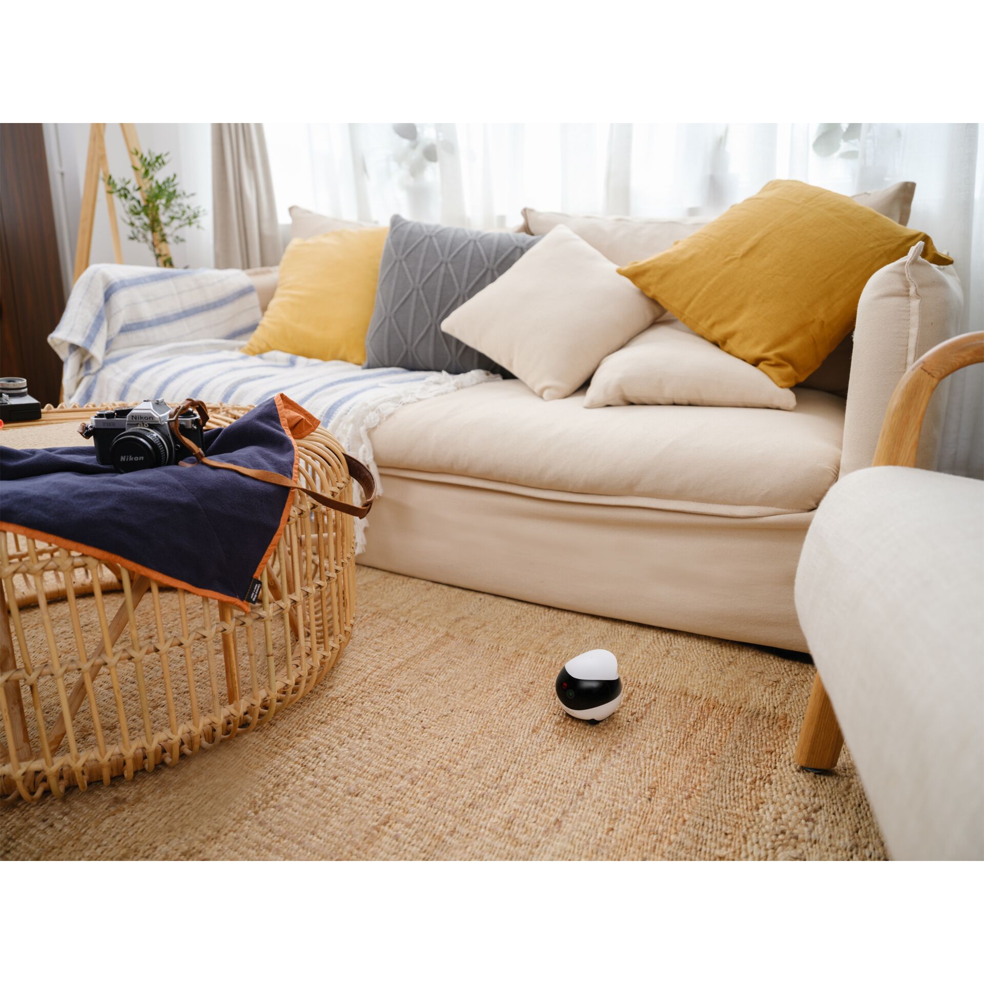 Innenarchitektur, Kissen, Dekoration für Zuhause, Couch, Mobiliar, Innenarchitektur, Kissen, Dekoration für Zuhause, Couch, Mobiliar