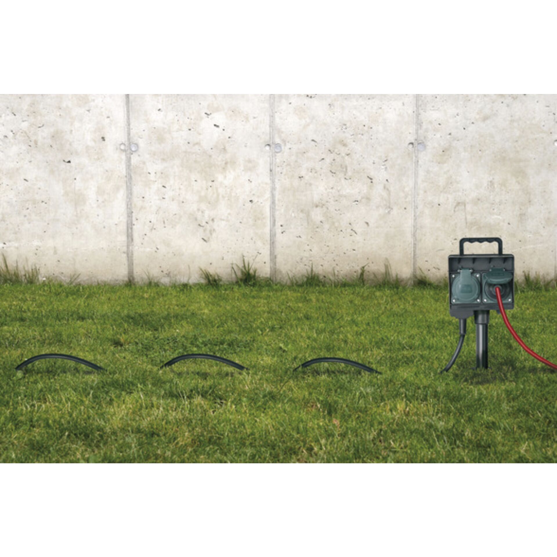 Gras, Pflanze, Rasen