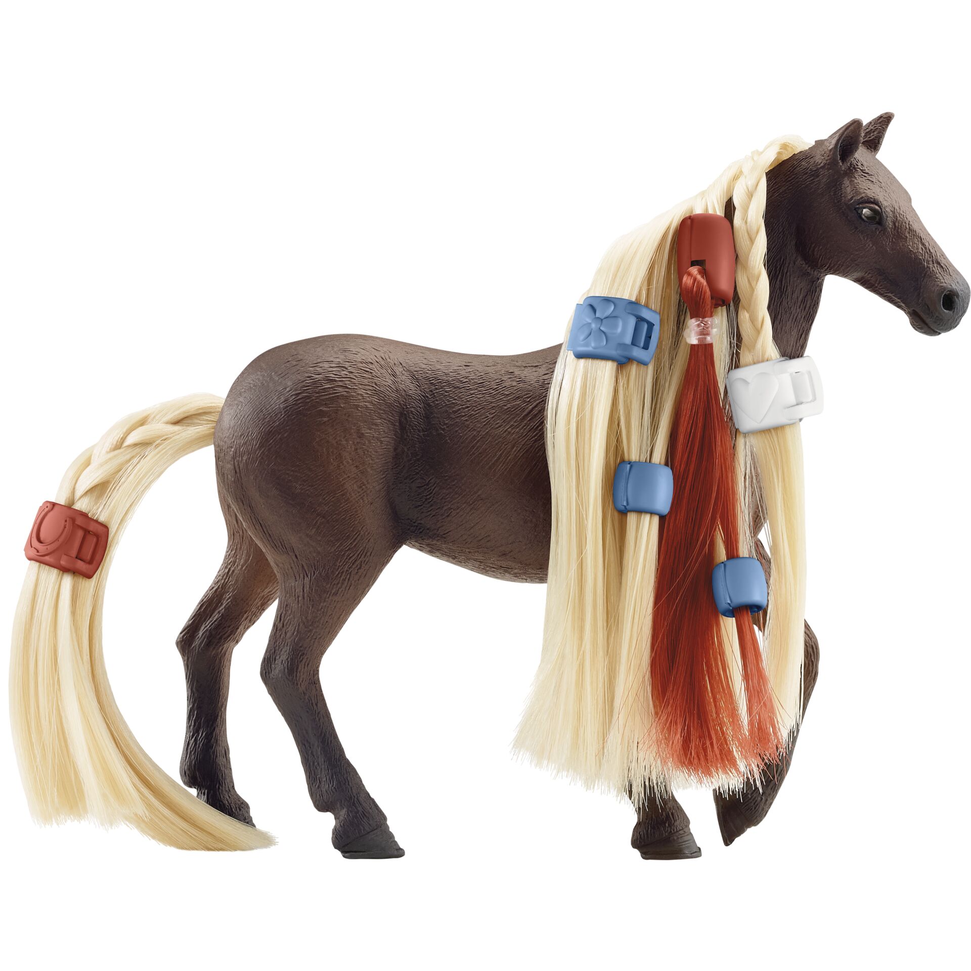 Tier, Pferd, Säugetier