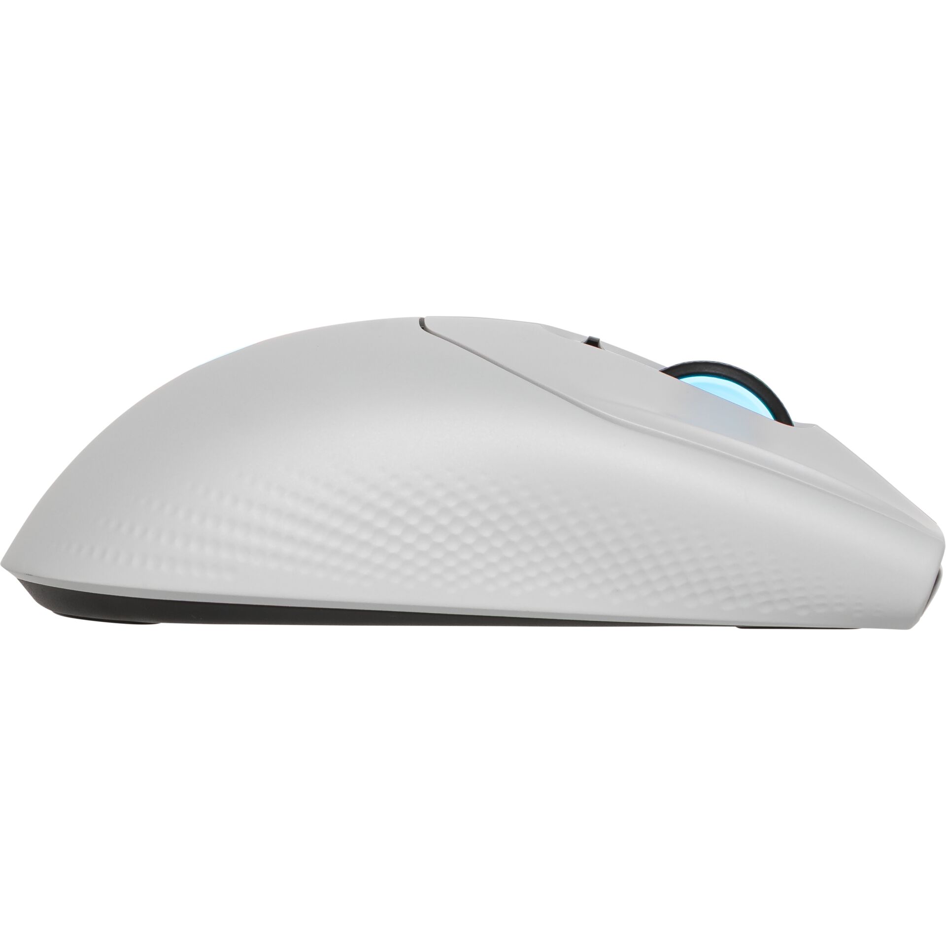 Computerausrüstung, Elektronik, Hardware, Maus