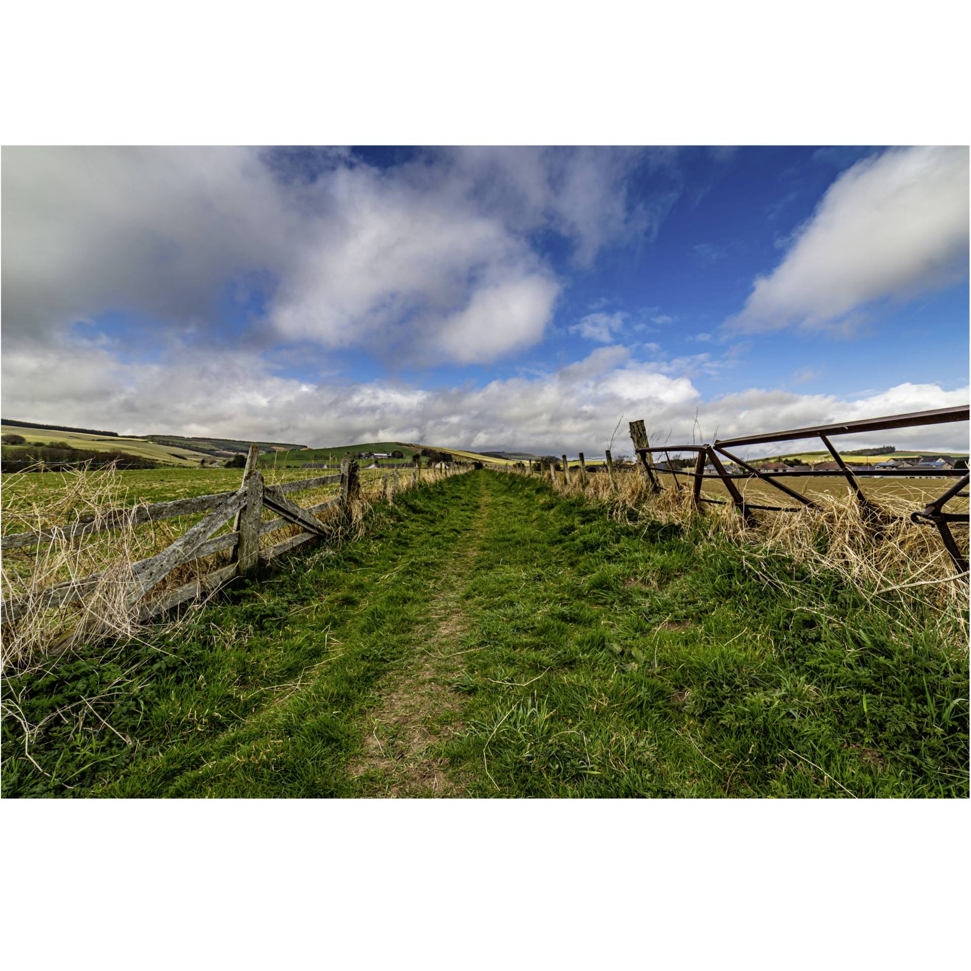 Gras, Natur, Draußen, Weide, Grünland