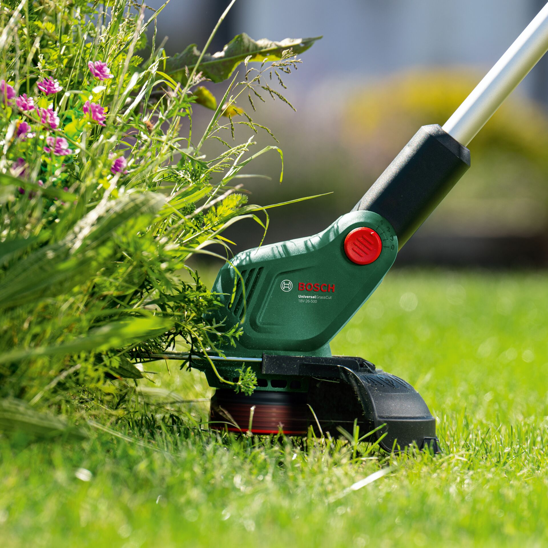 Gras, Rasen, Pflanze, Gerät, Rasenmäher