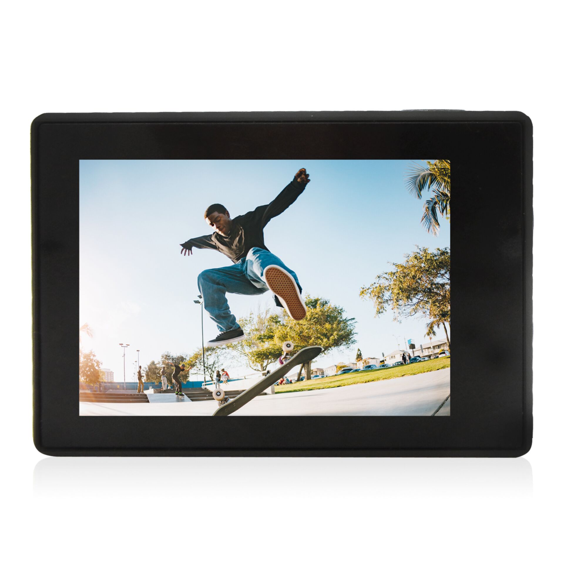 Computer, Photographie, Baum, Tablet-Computer, Person