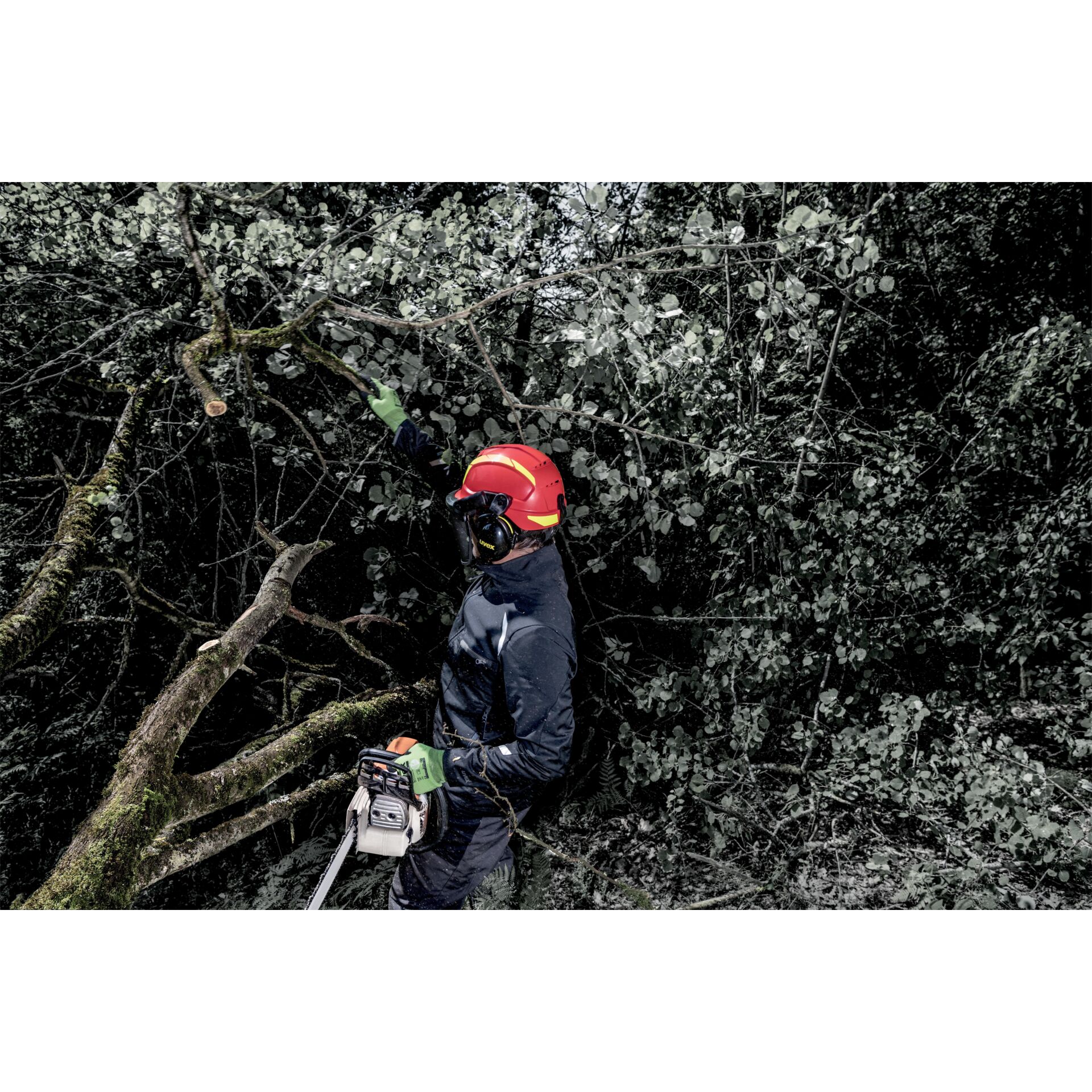 Pflanzenwuchs, Person, Arbeiter, Baum, Helm