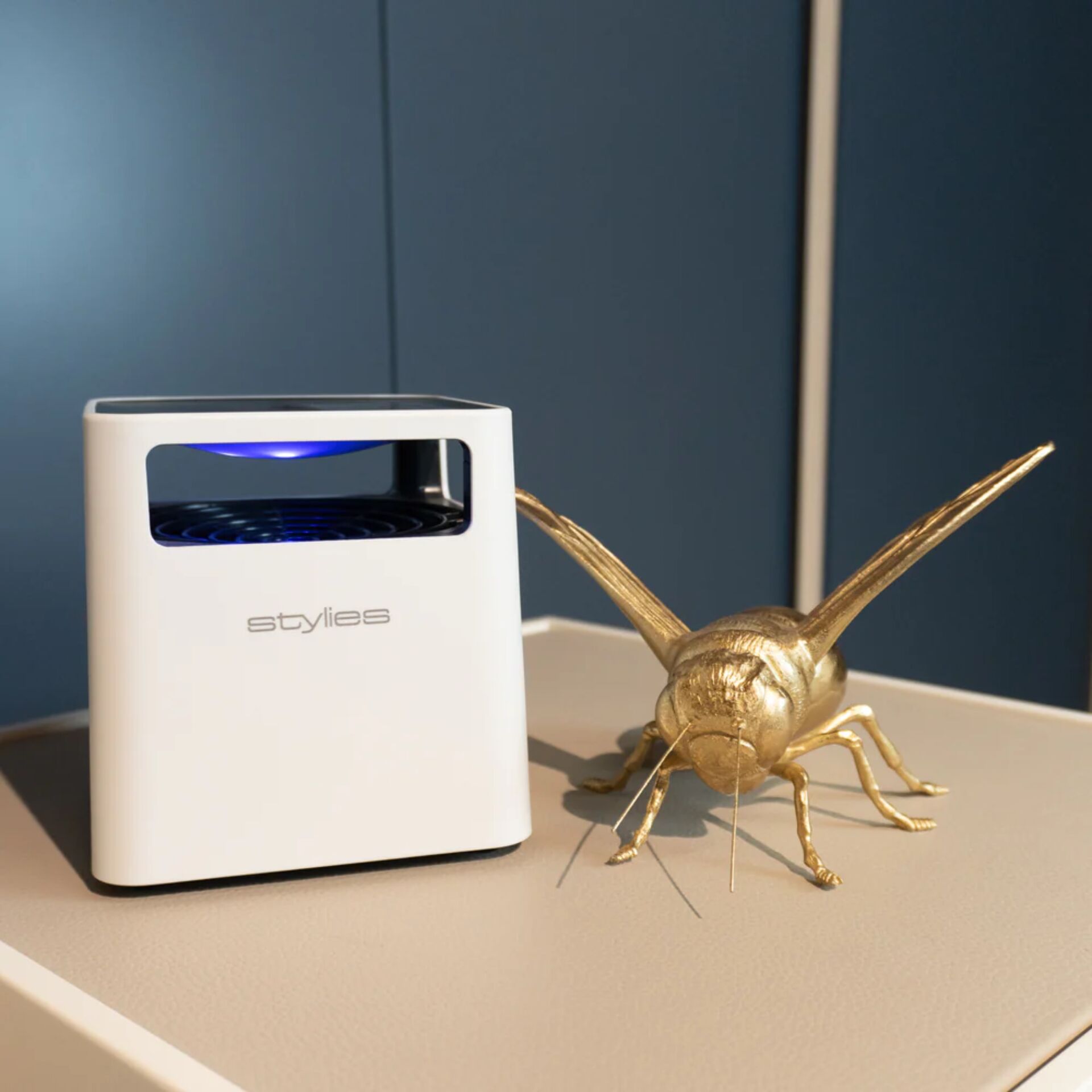 Tier, Cricket-Insekt, Insekt, Wirbellose, Tier, Cricket-Insekt, Insekt, Wirbellose