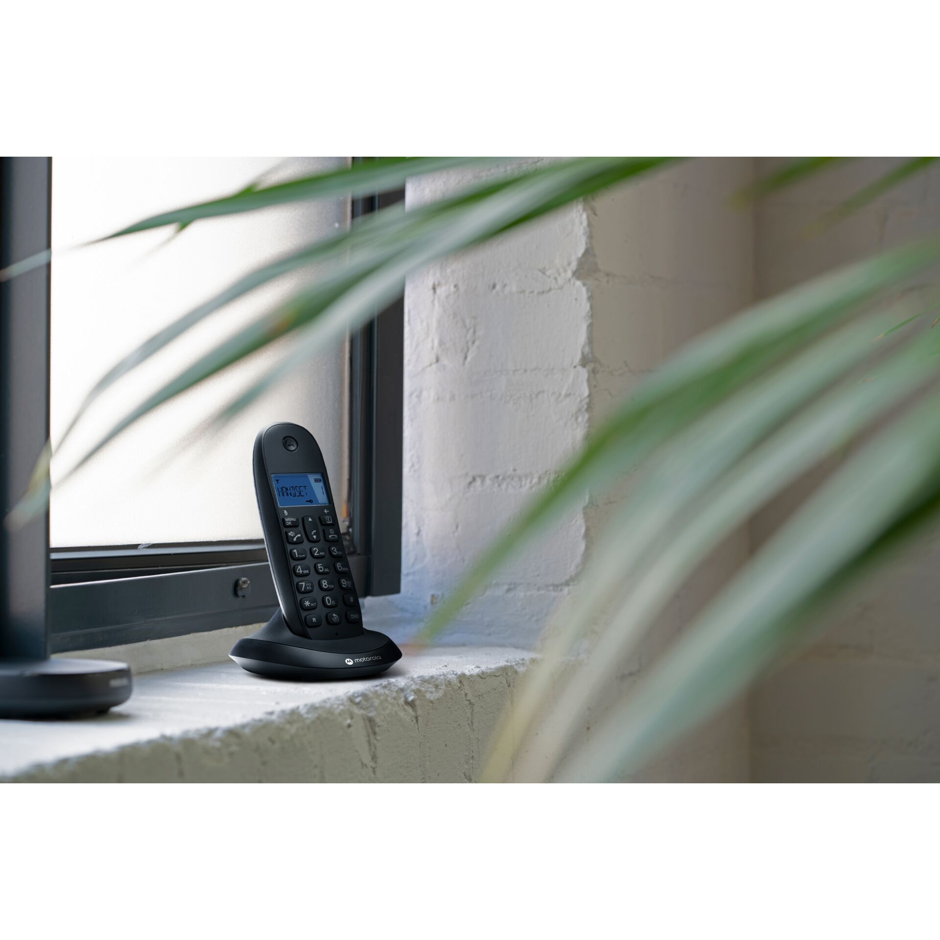 Elektronik, Telefon, Handy, Pflanze, Fensterbank